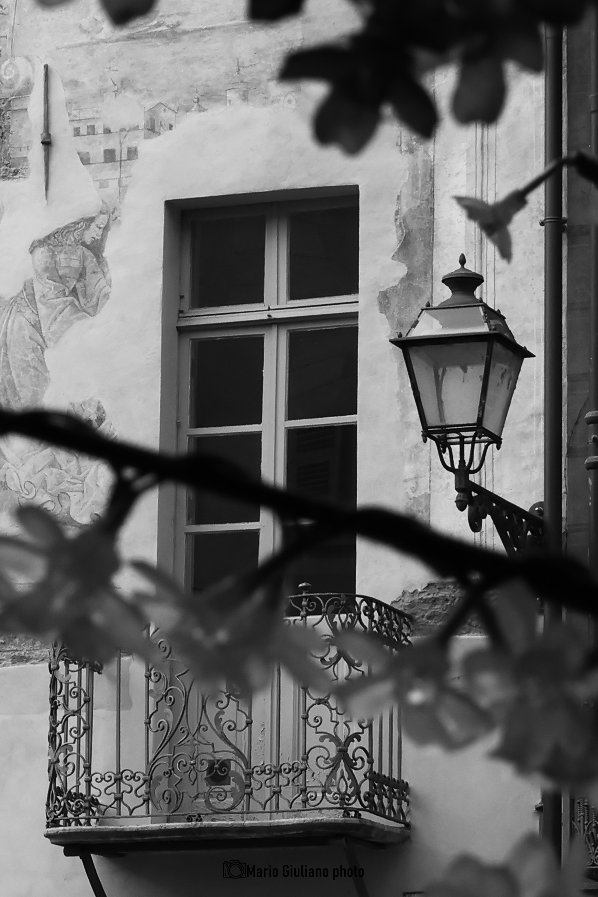 Cuneo particolare