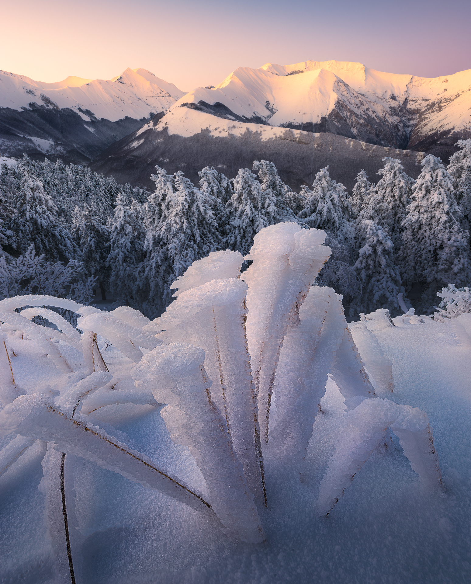 Pintura di bolognola