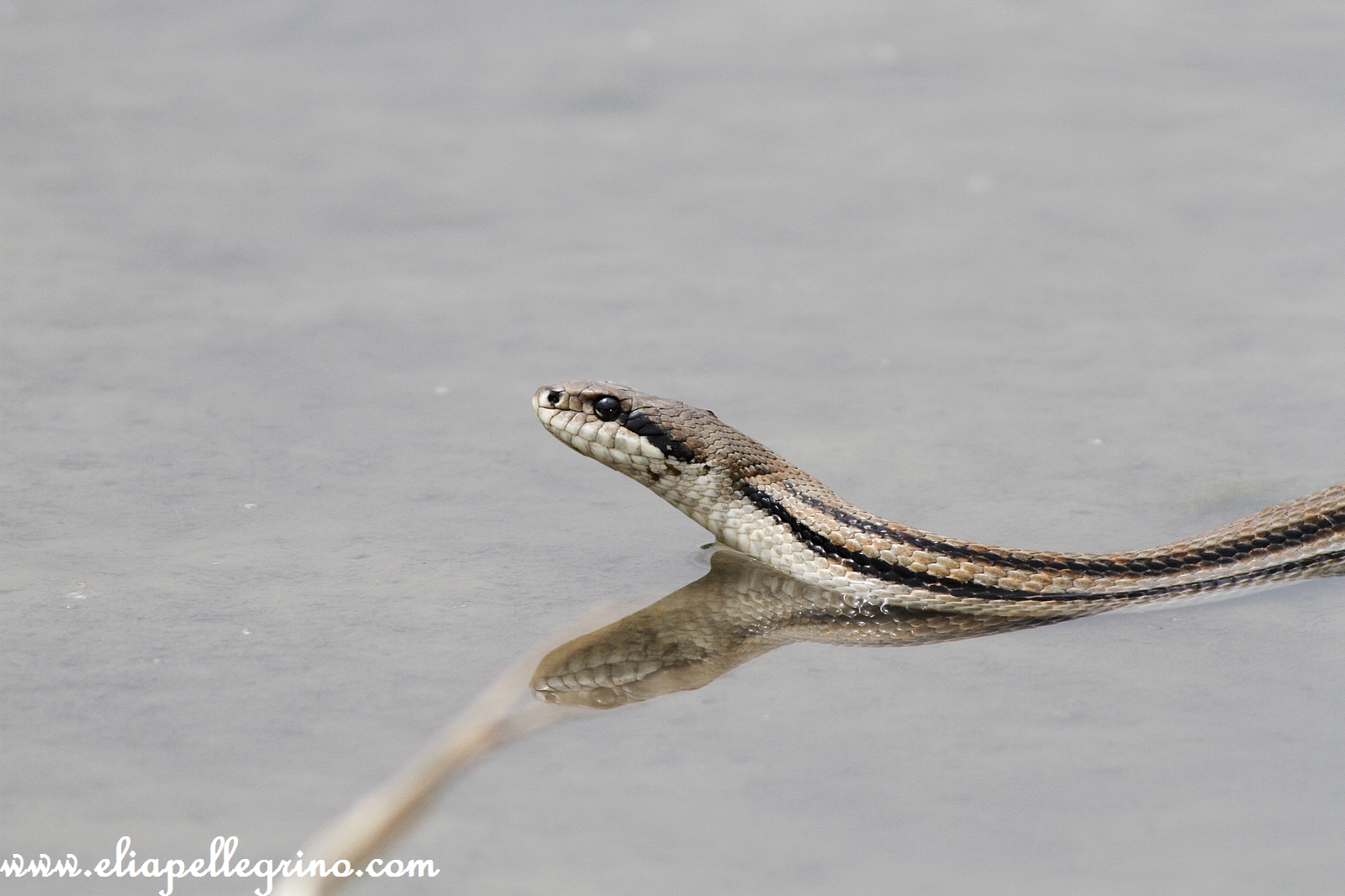 o sole mio sta nfront a me