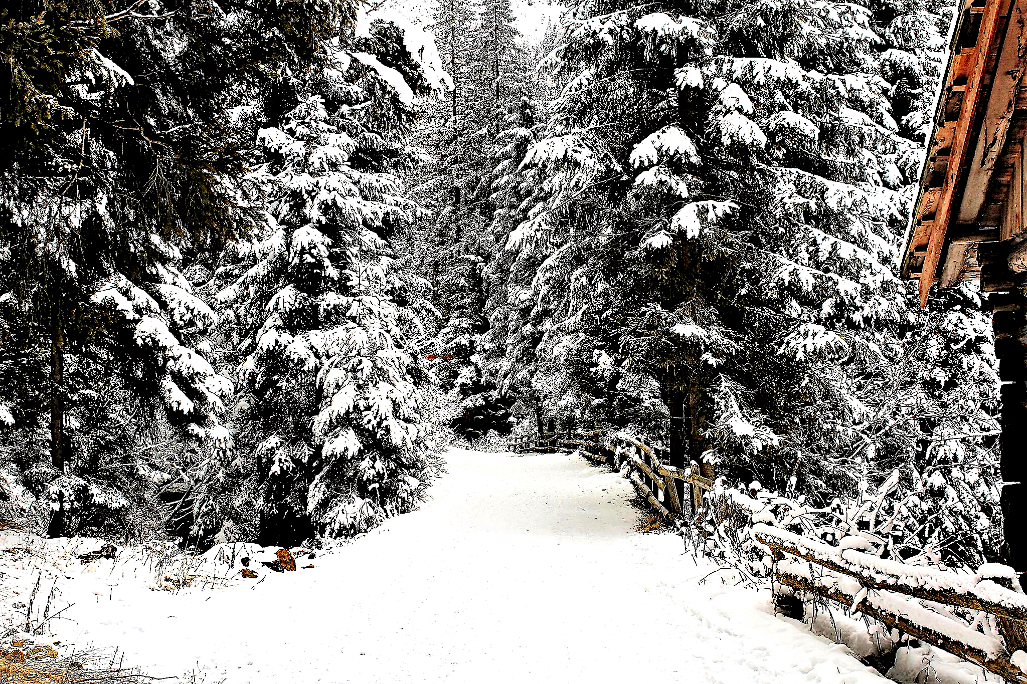 St. Magdalena (Alta Pusteria) to Austria