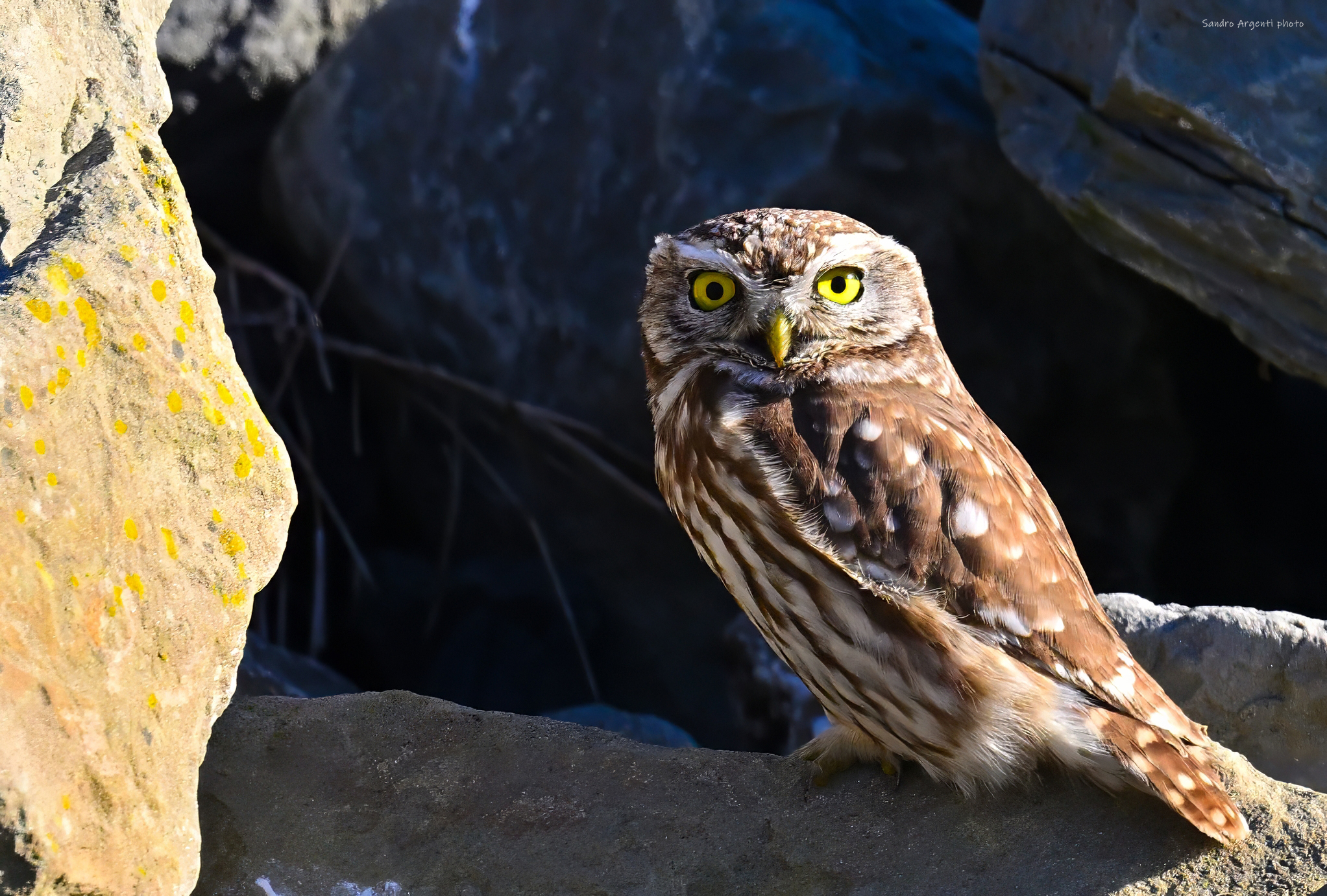 Specchio servo delle mie brame...