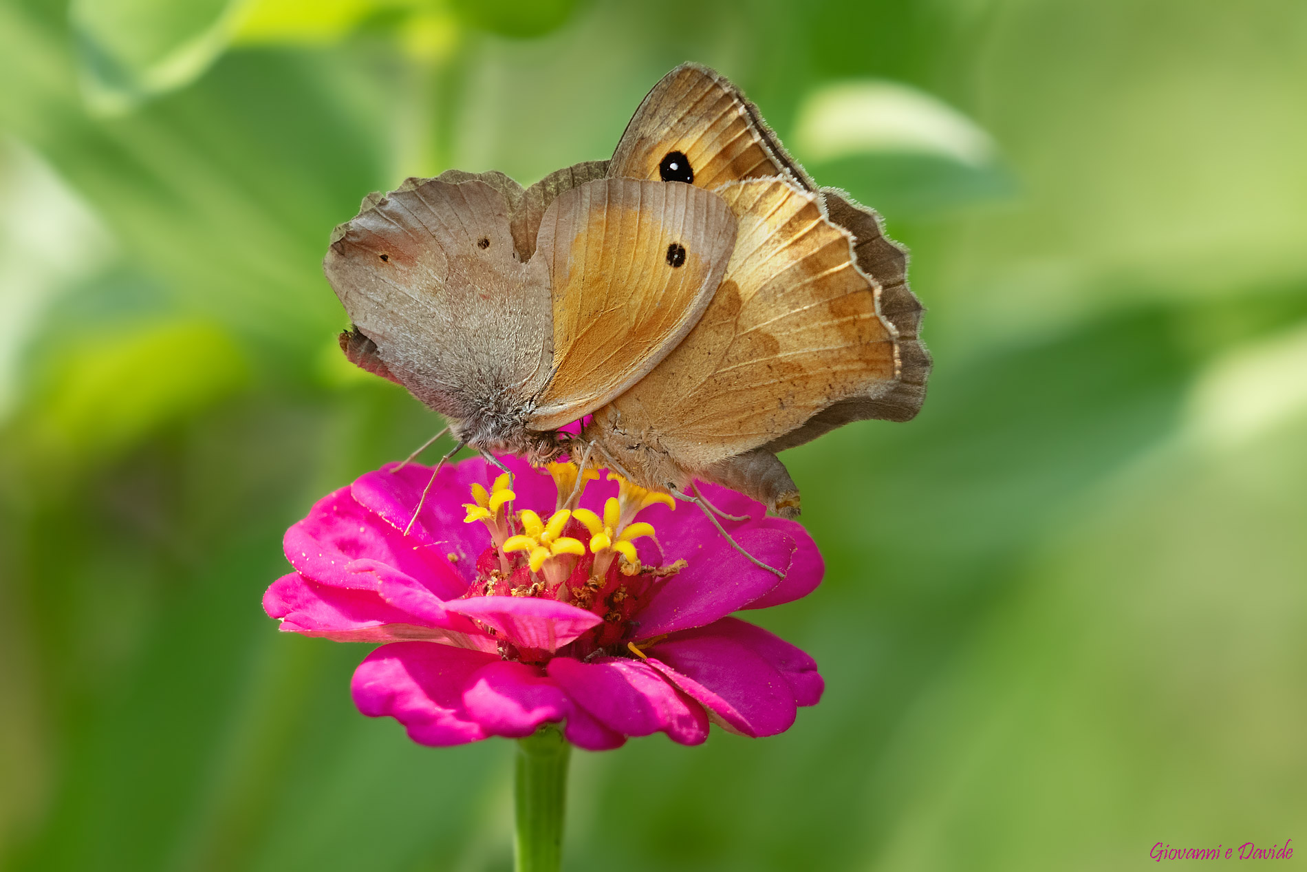 ... They talk about this and that...