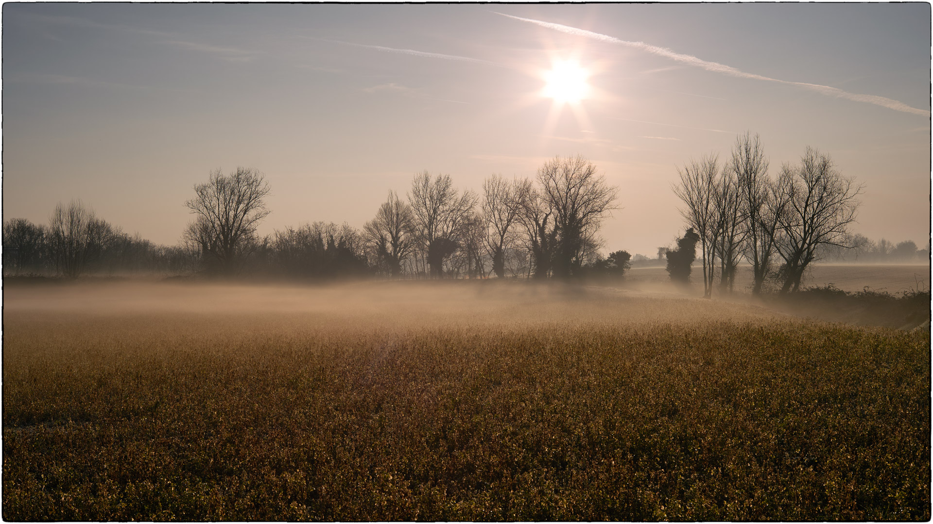 Foschie nella bassa bresciana