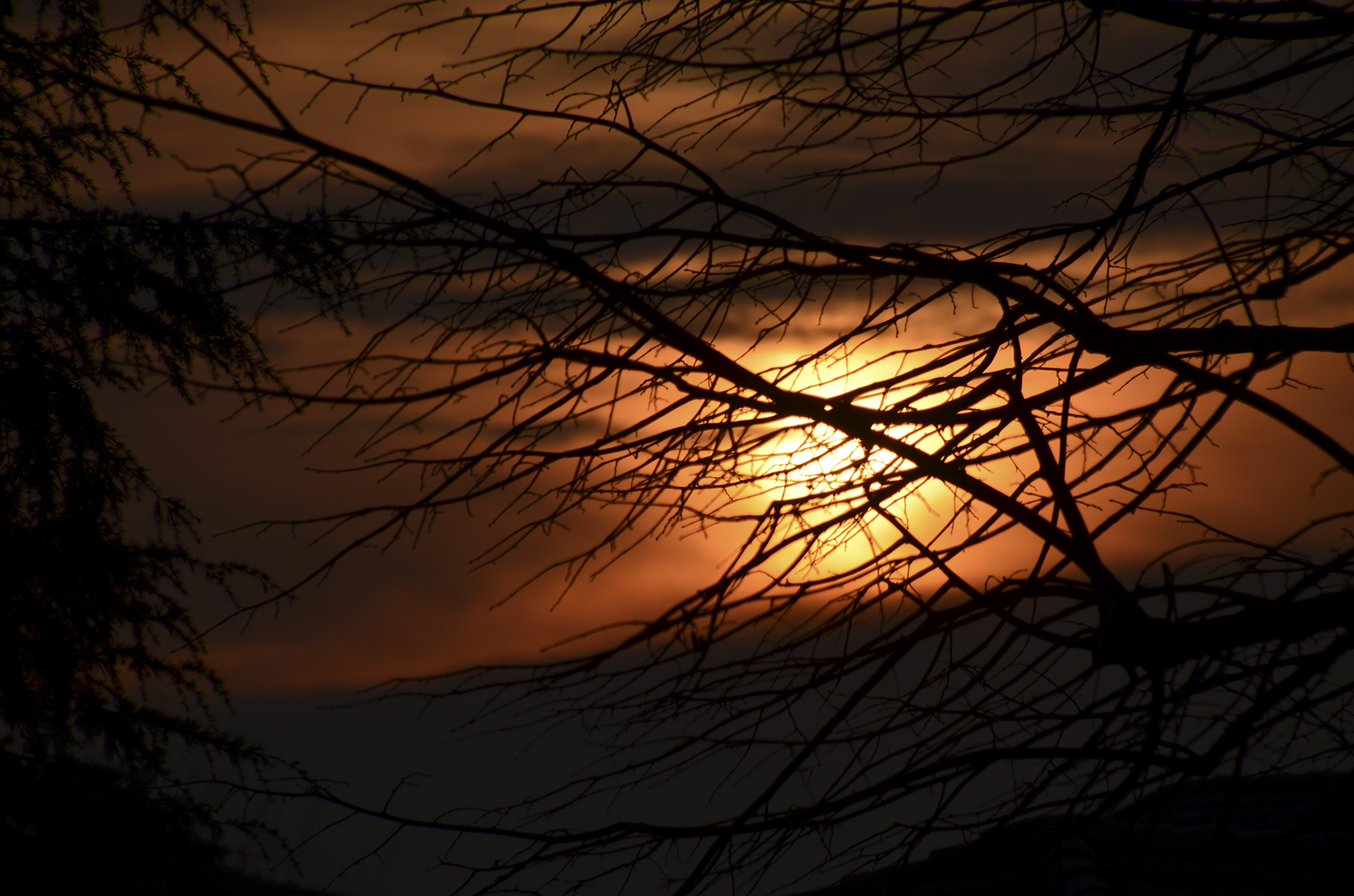 Nuova alba nuovo giorno