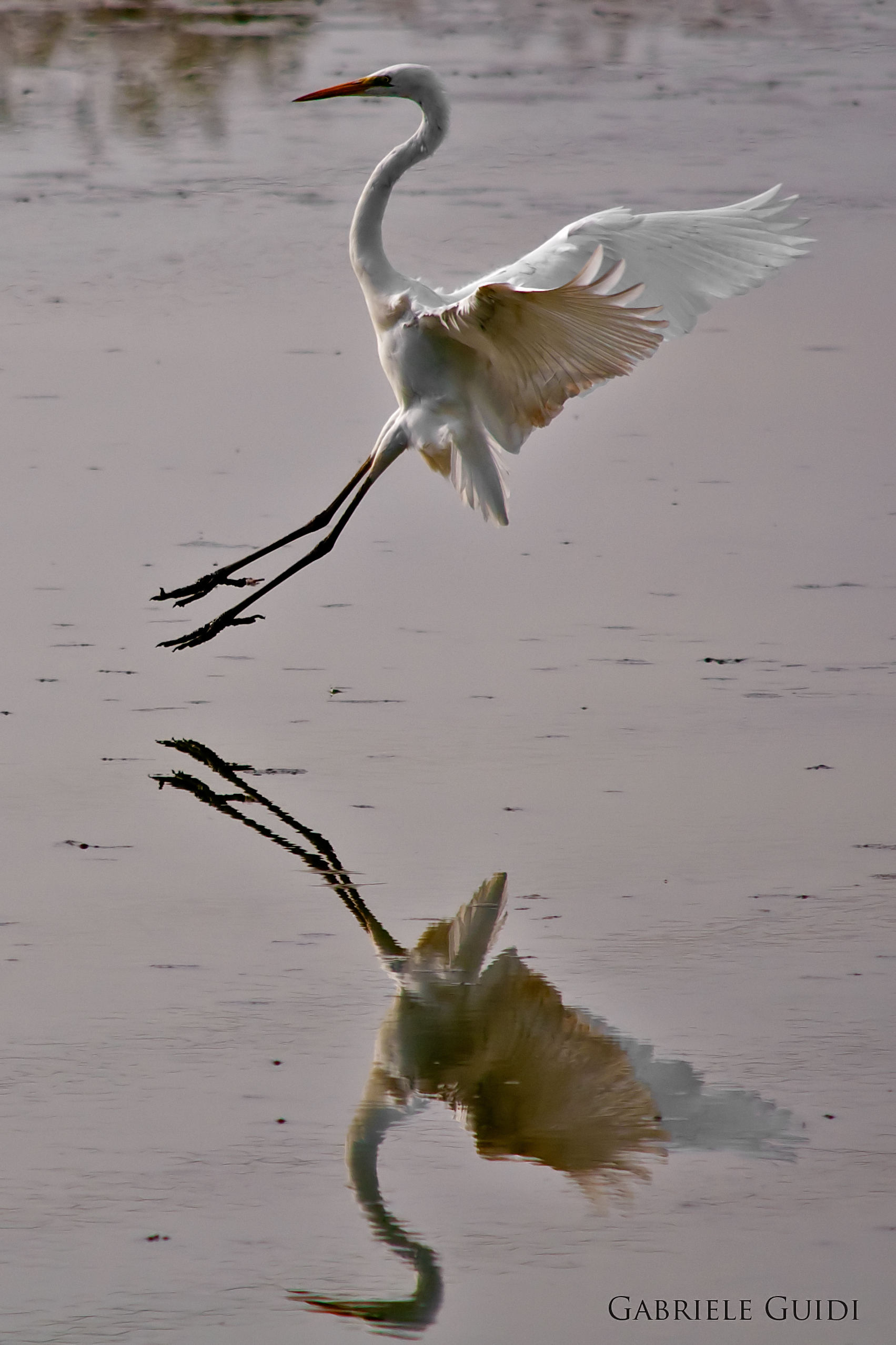 Atterraggio con stile