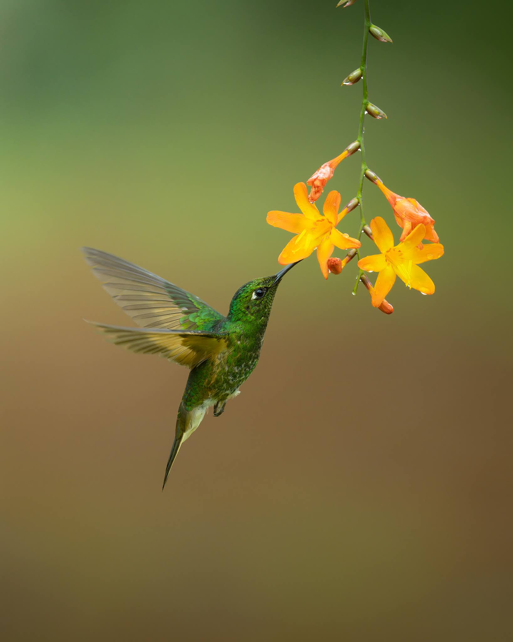 Flying...