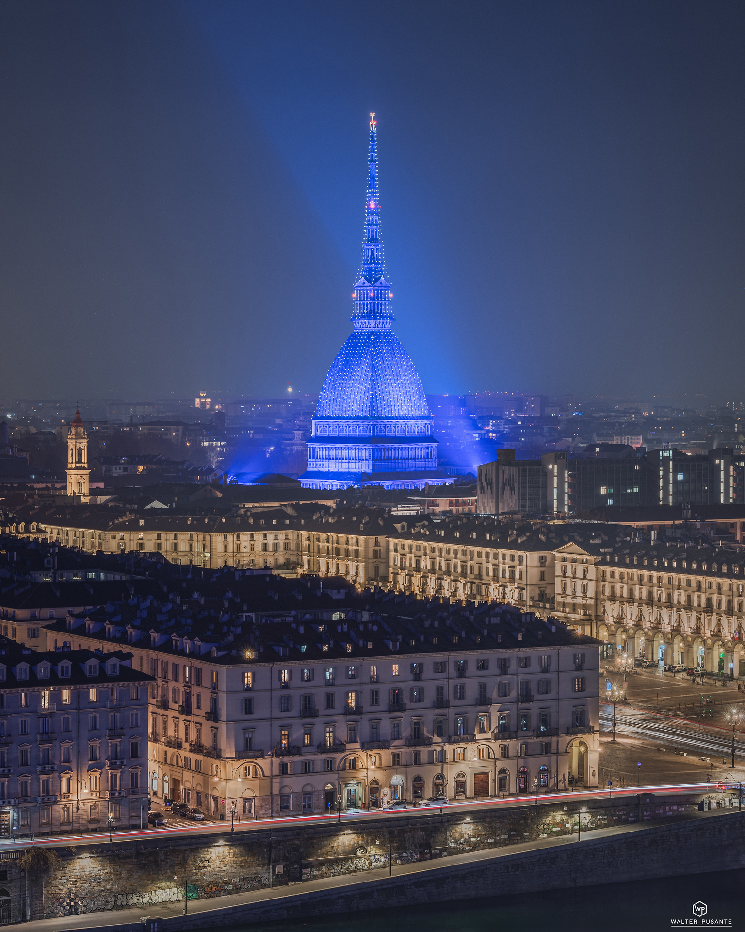 Mole Antonellina_ notturna