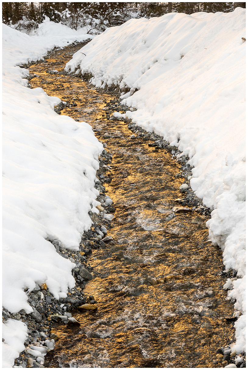 Golden Torrent