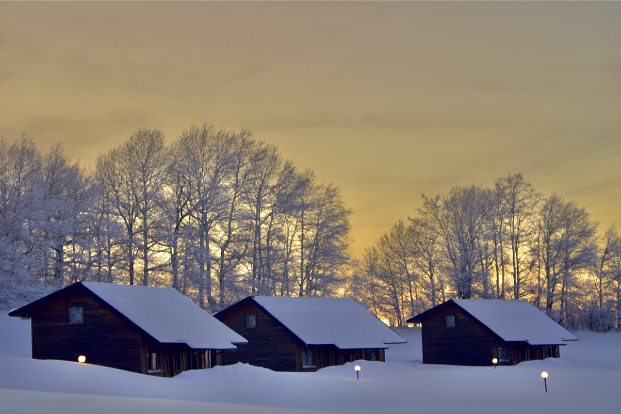 January in the upper Oltrepò