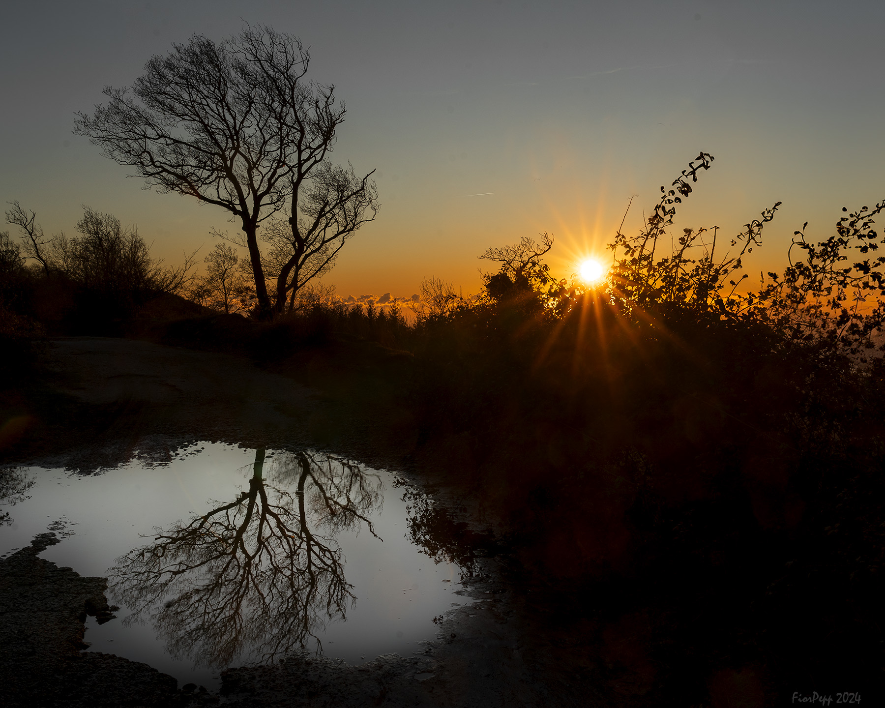 Reflections at sunset