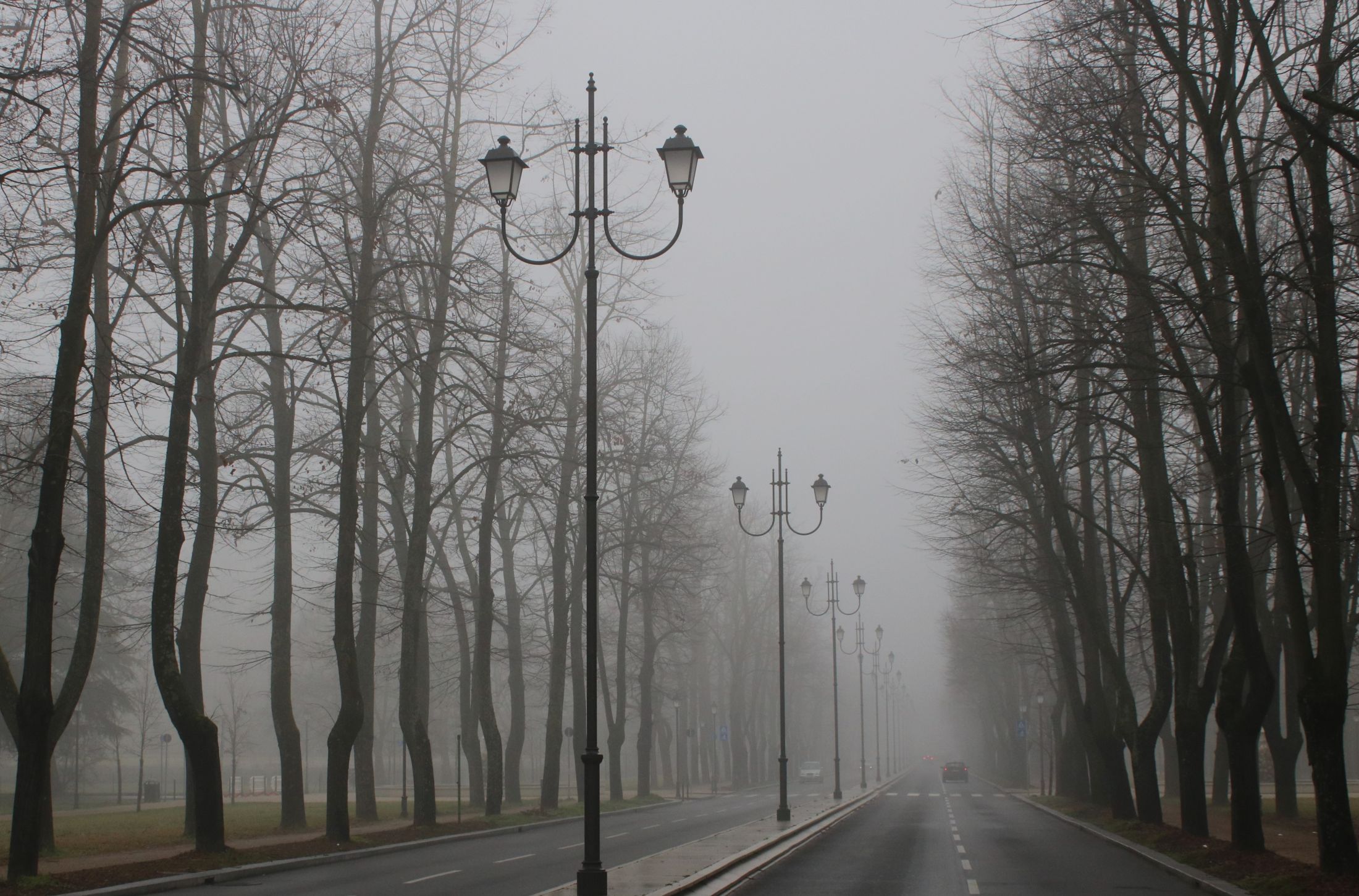 La nebbia