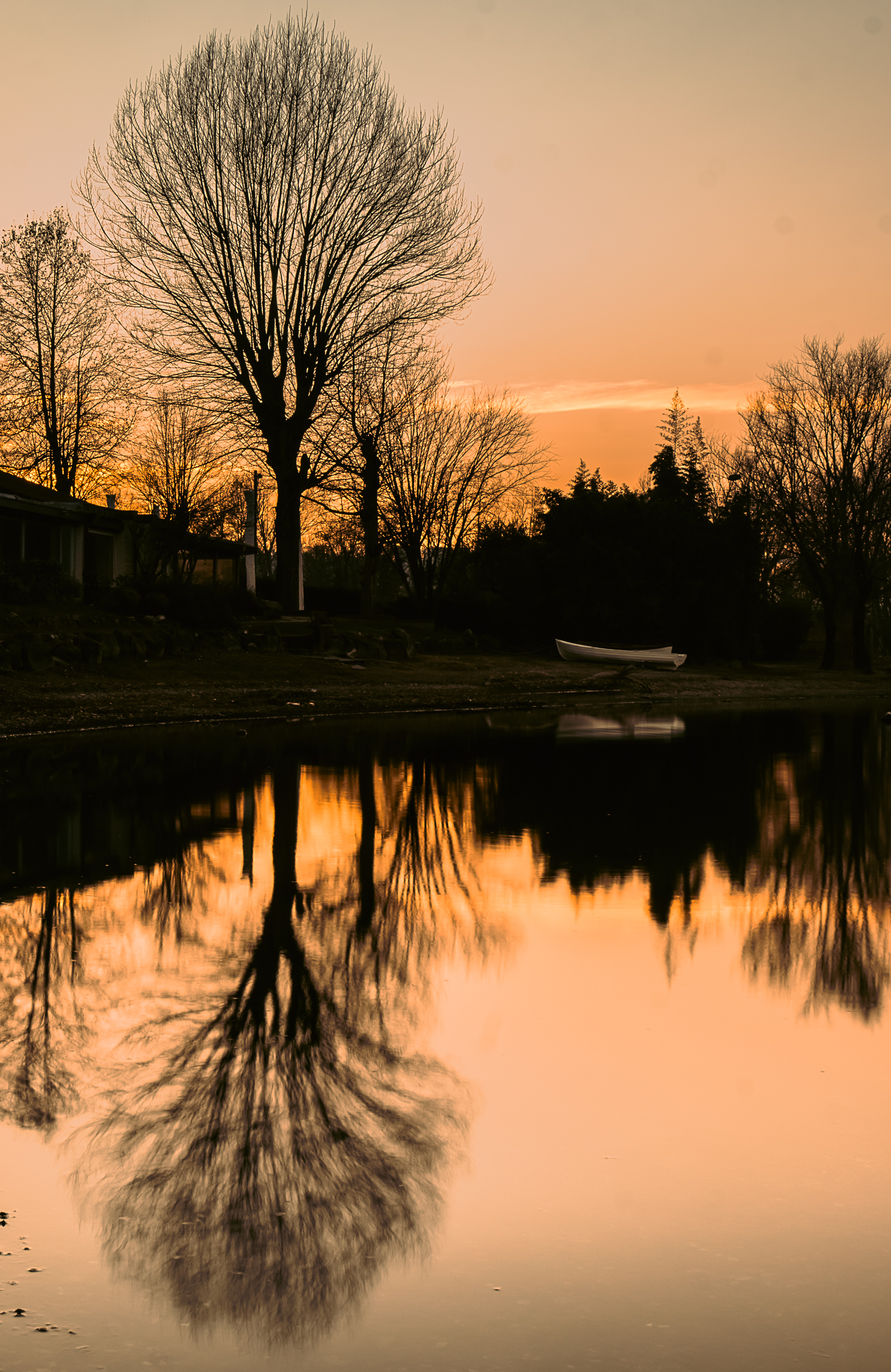 Riflessi (lenti) di sera