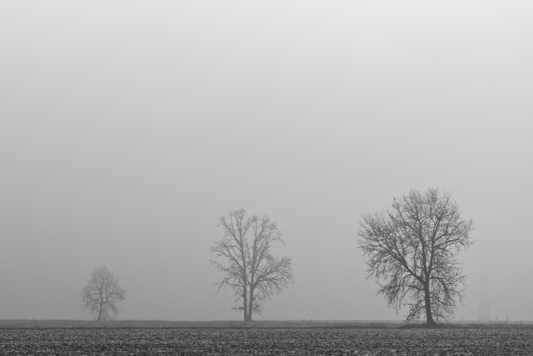 Progressione nella nebbia