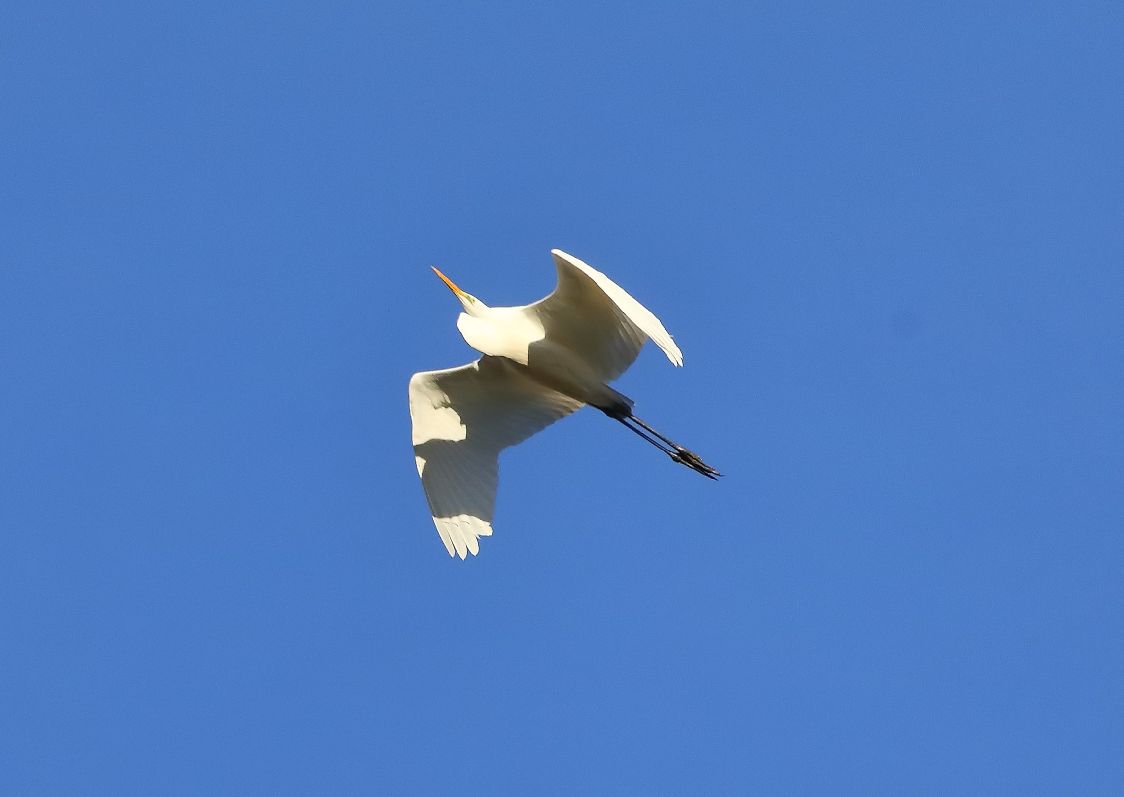 Aironi BM 18-11-2023