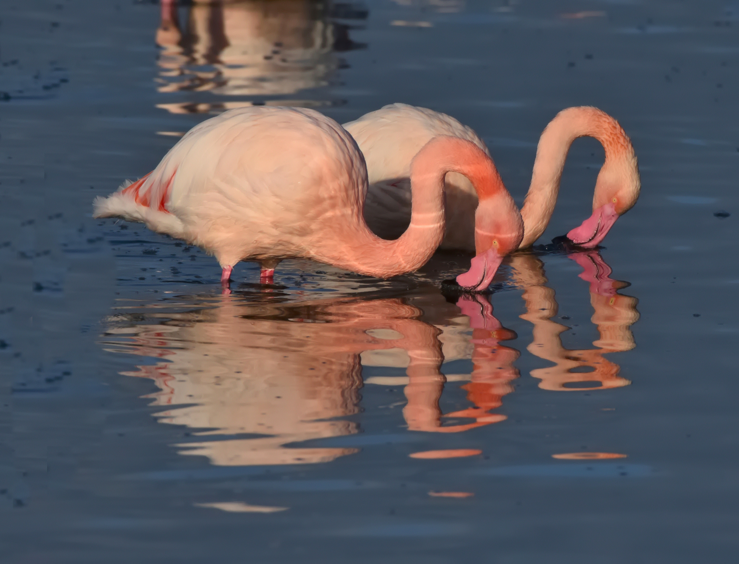 The colors of the lagoon in the early morning ...