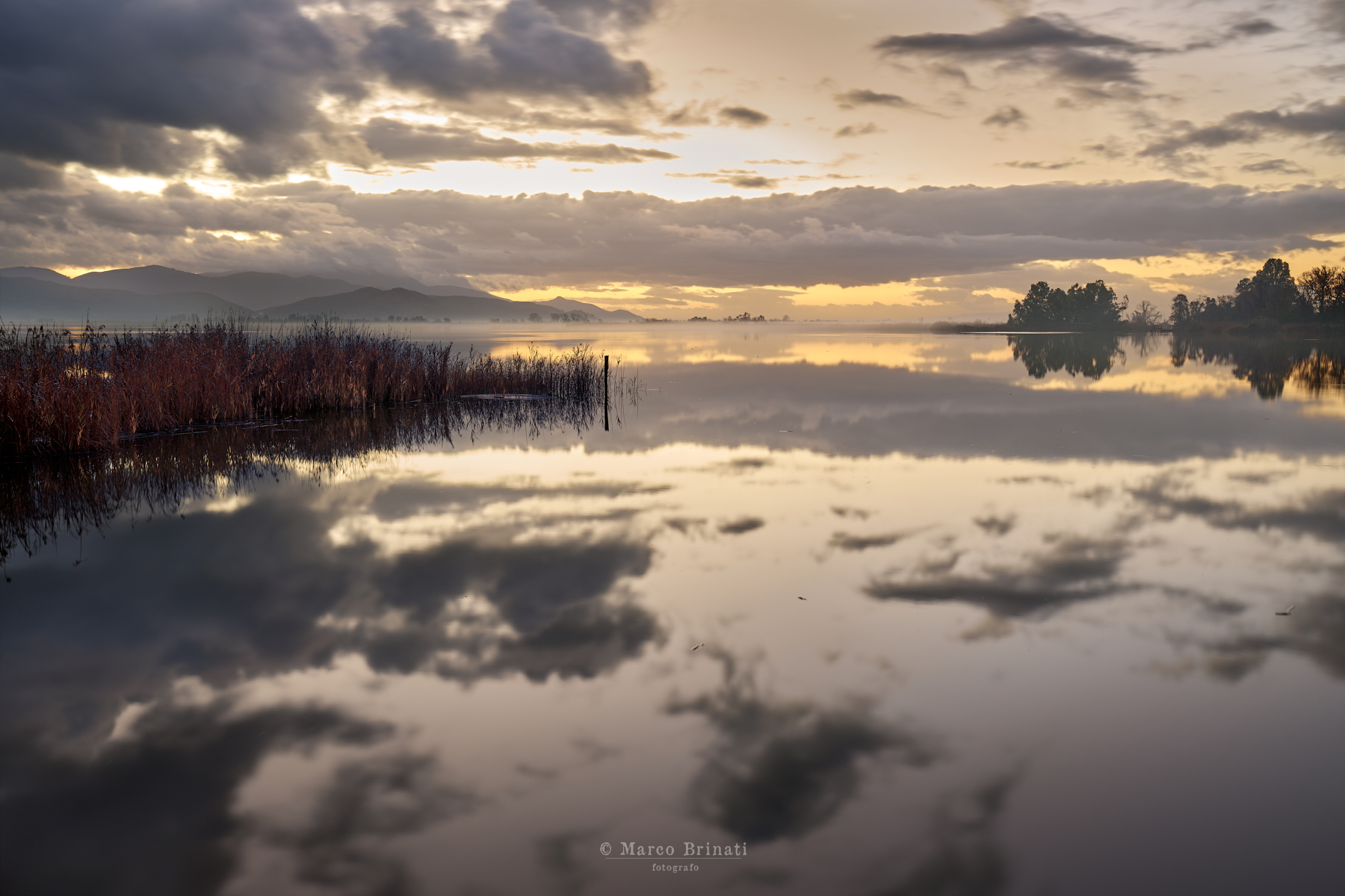Ancora un'alba a Massaciuccoli