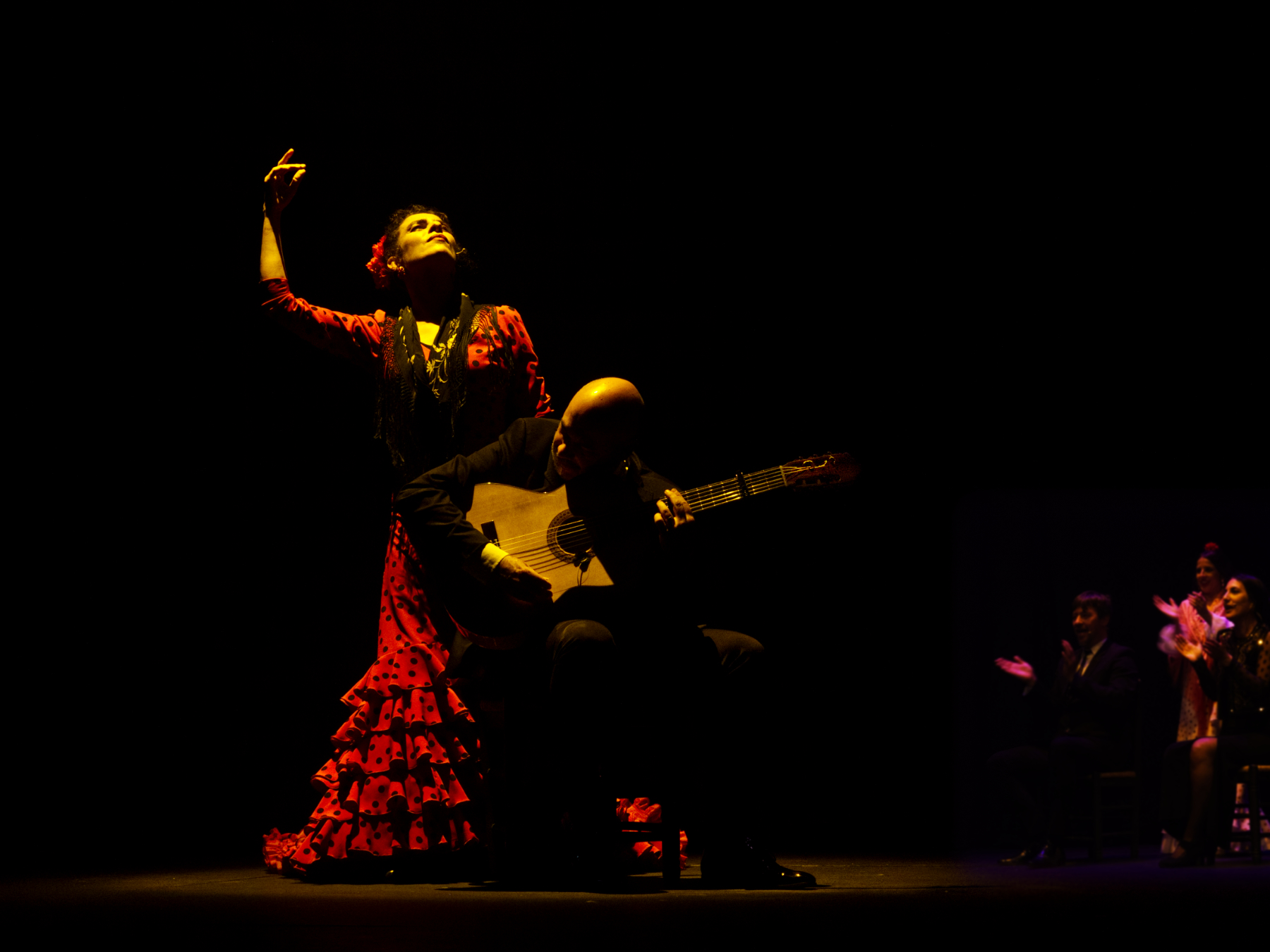 Flamenco 1