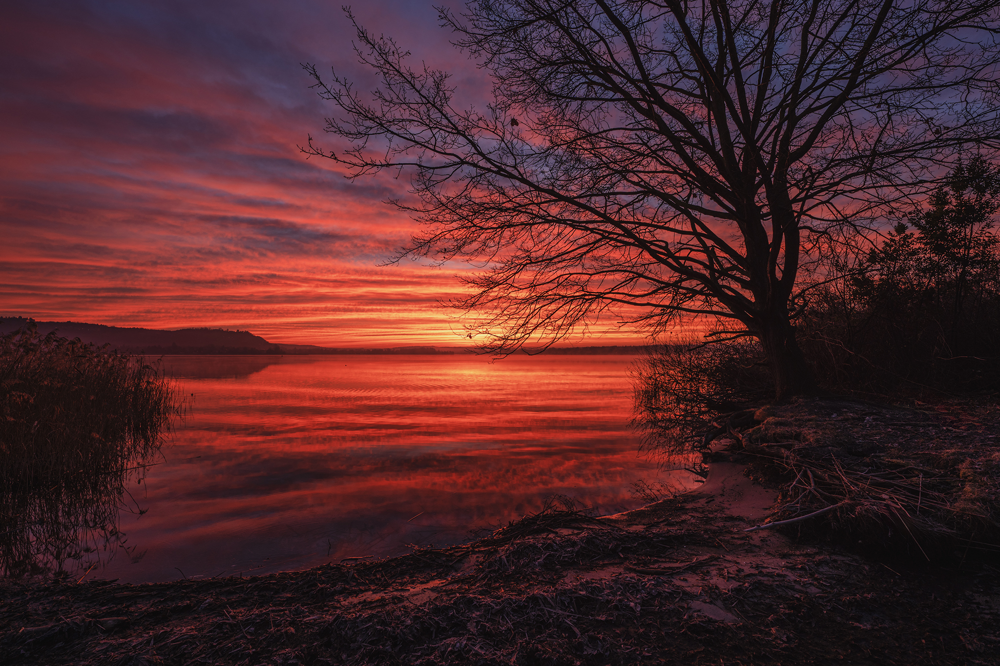 Just before dawn, Dormelletto, Lake Maggiore