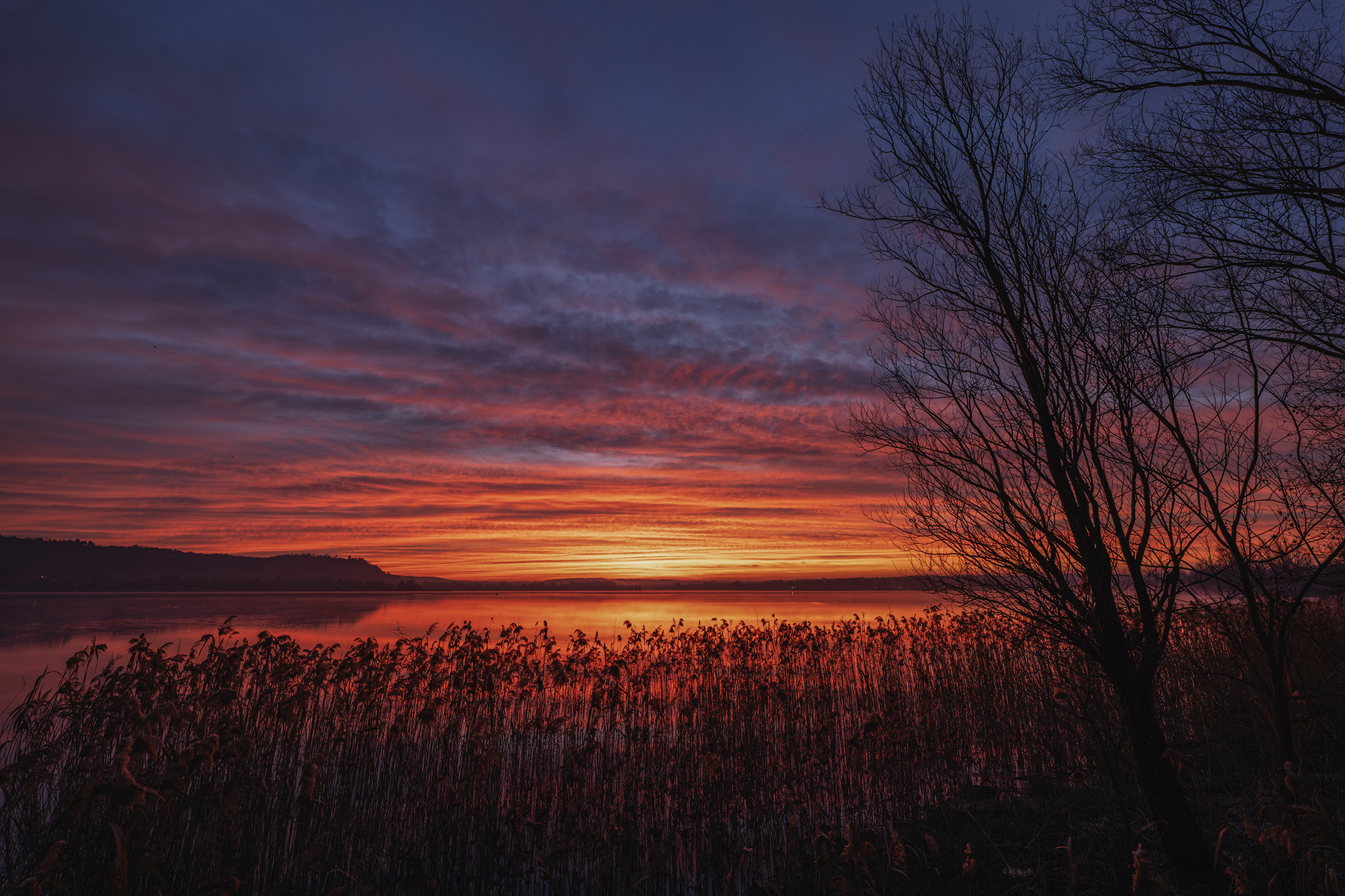 Just before dawn, Dormelletto, Lake Maggiore