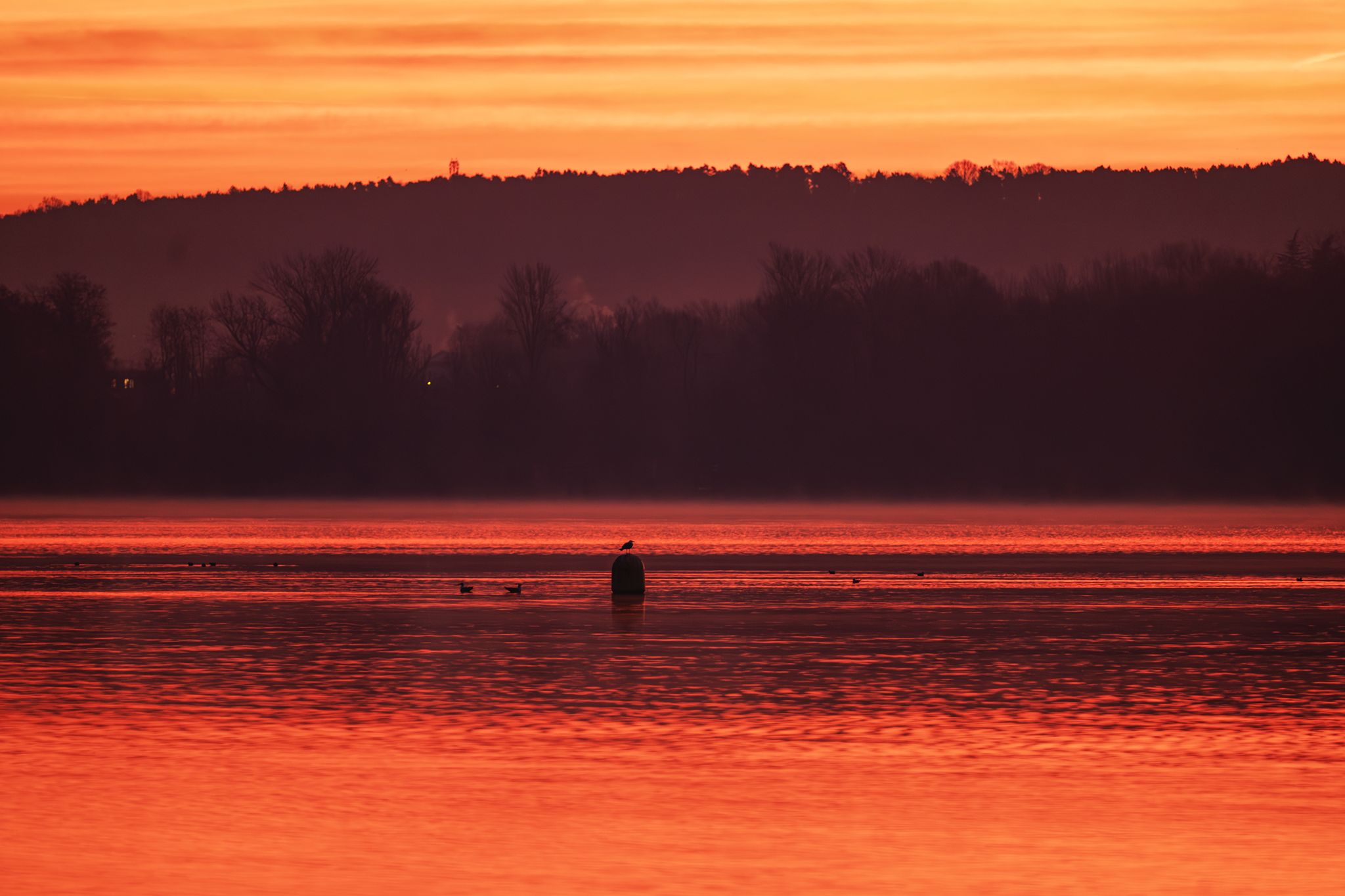 Just before dawn, Dormelletto, Lake Maggiore