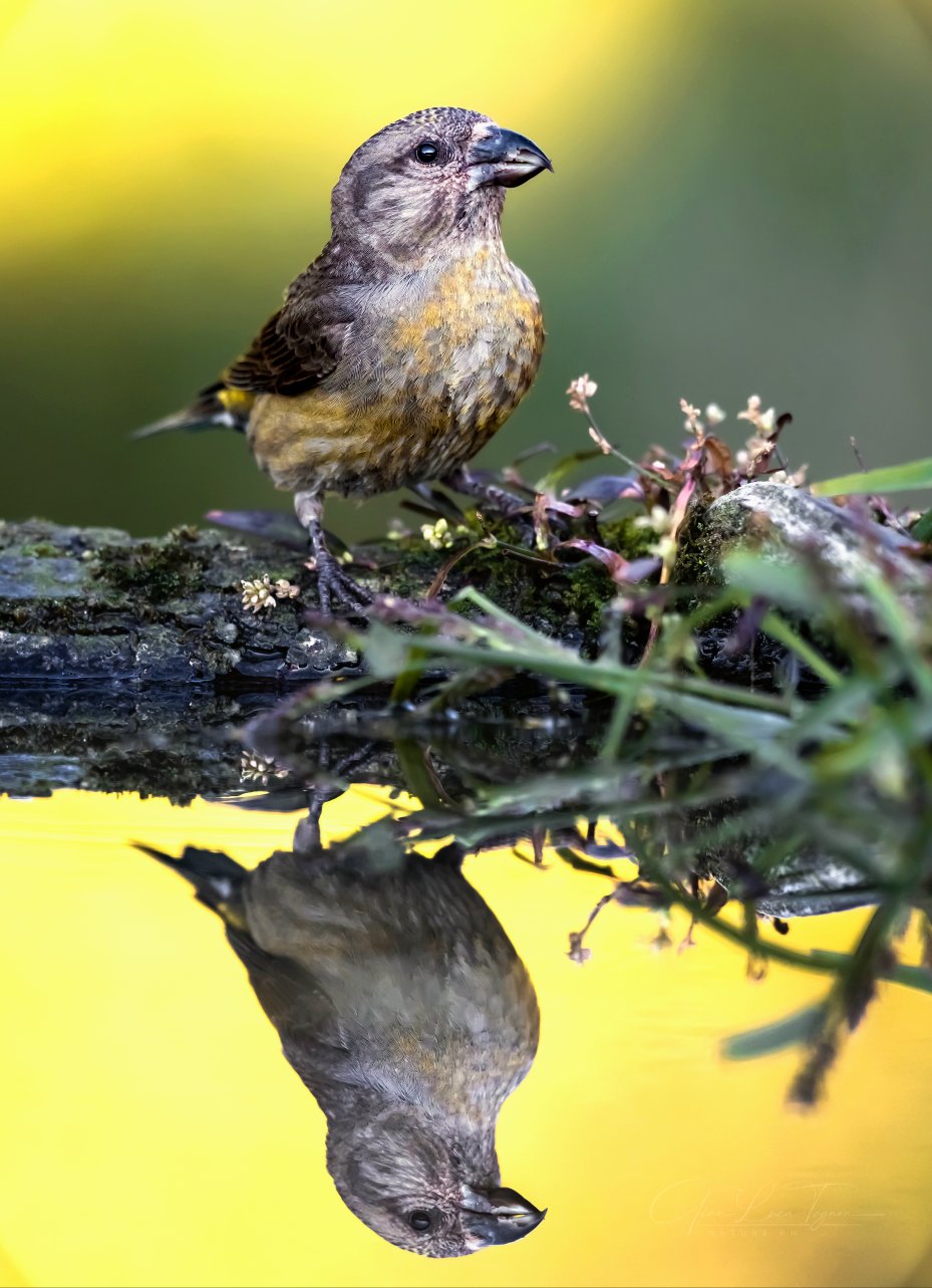La luce si dona liberamente, riempiendo tutto lo spazio