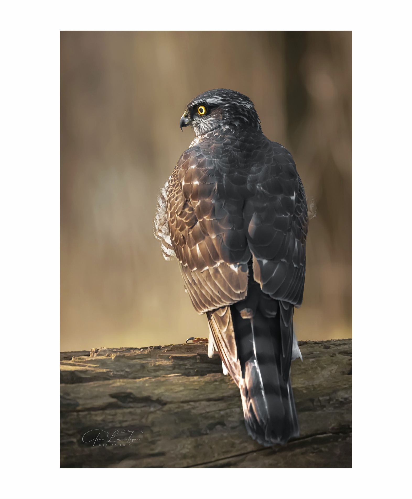 l'attesa del tramonto | waiting for the sunset