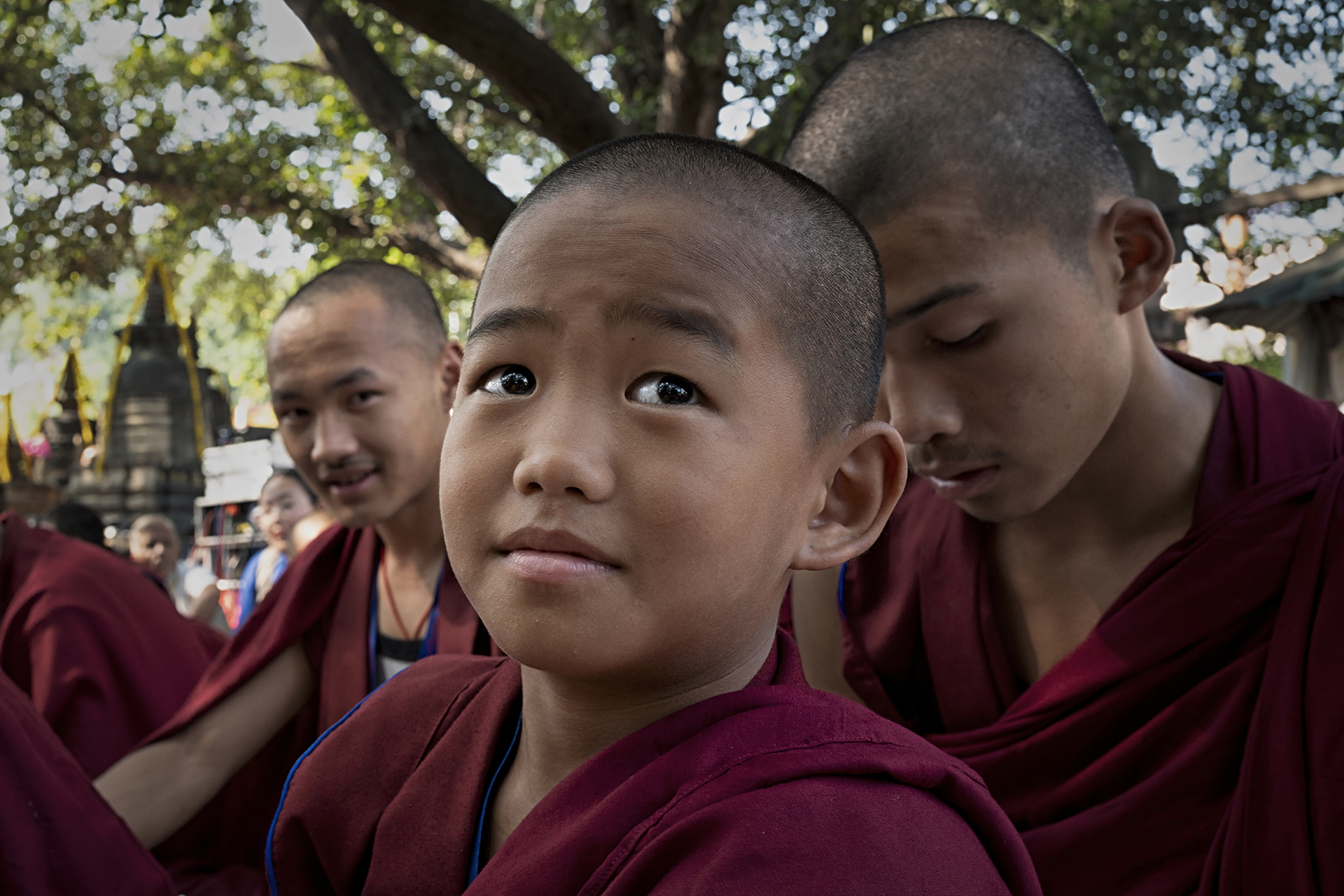 Giovane Monaco 24.15