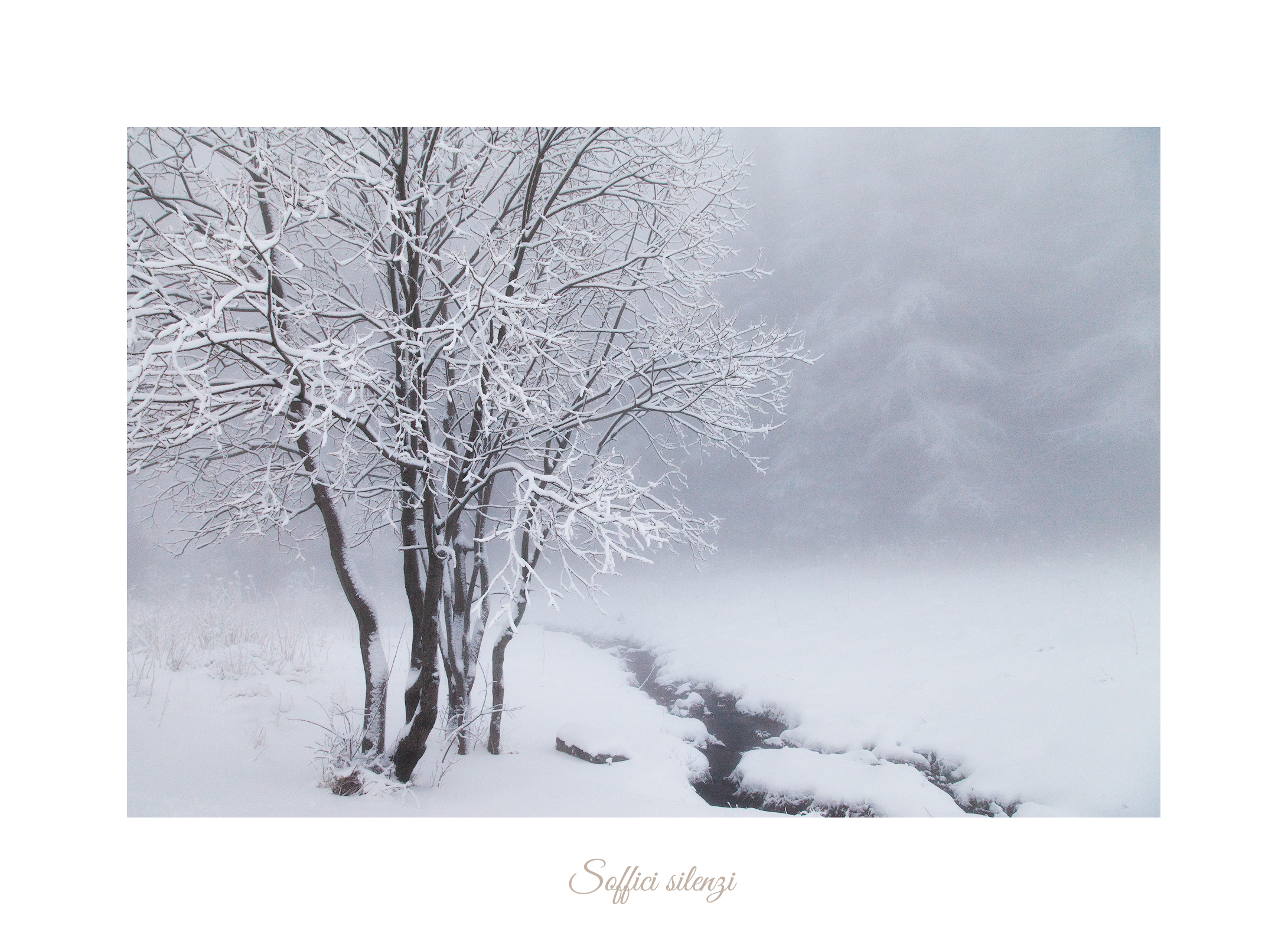 Soffici silenzi