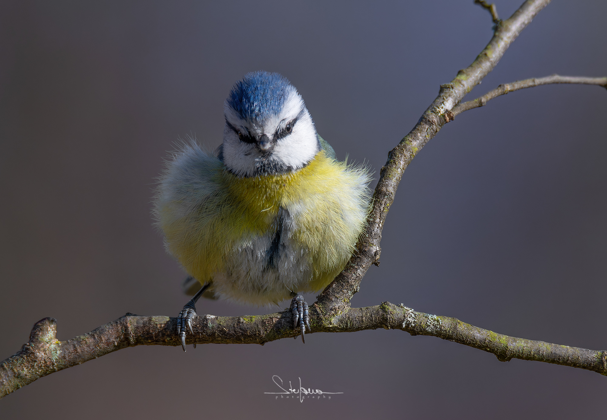 10 grams of down jacket