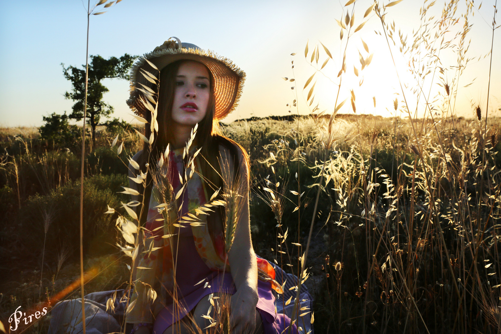 La primavera e i suoi colori IV