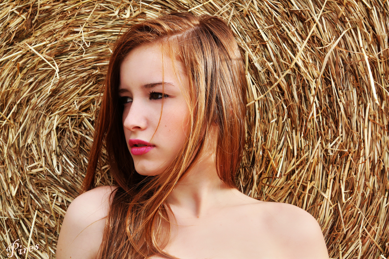 La primavera e i suoi colori VI