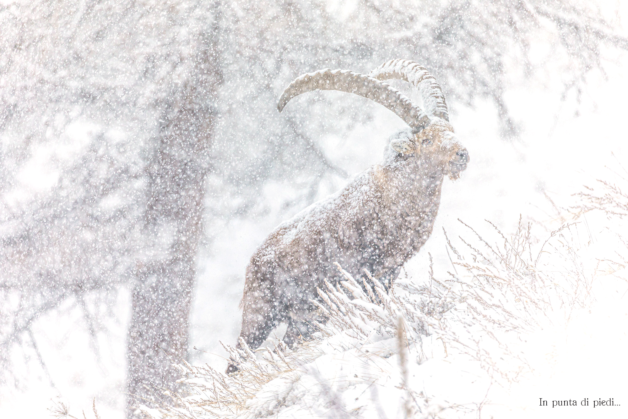 loneliness it's my style of Life...