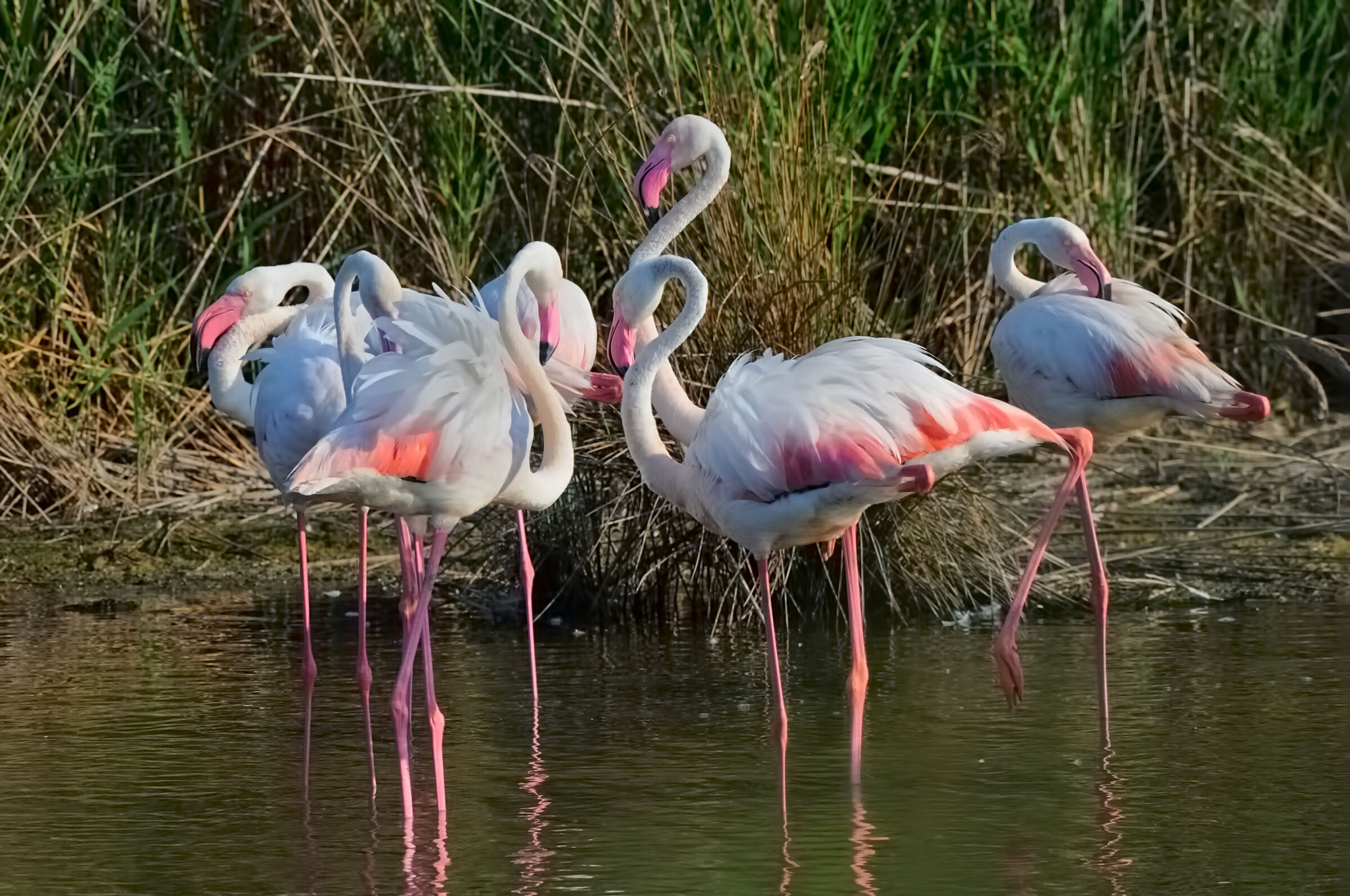 Baciati dal primo sole