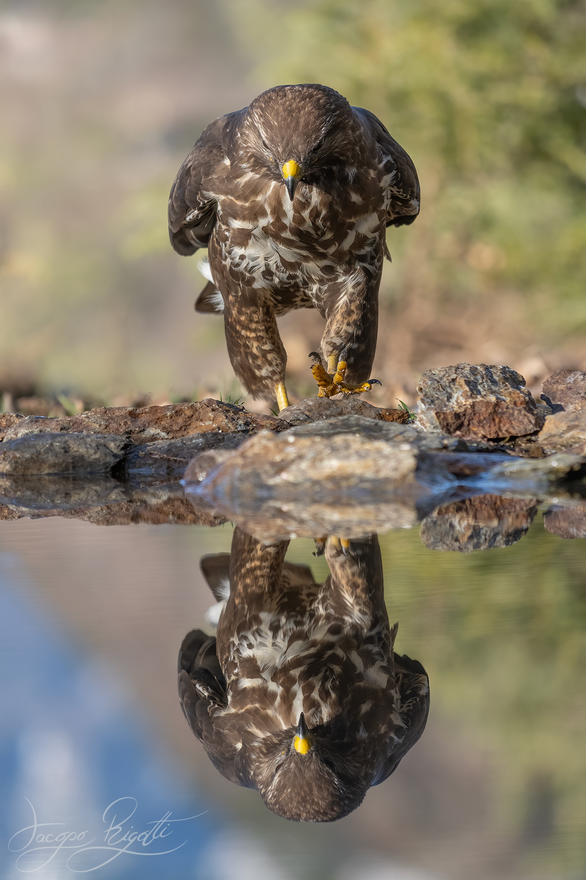 In the mirror