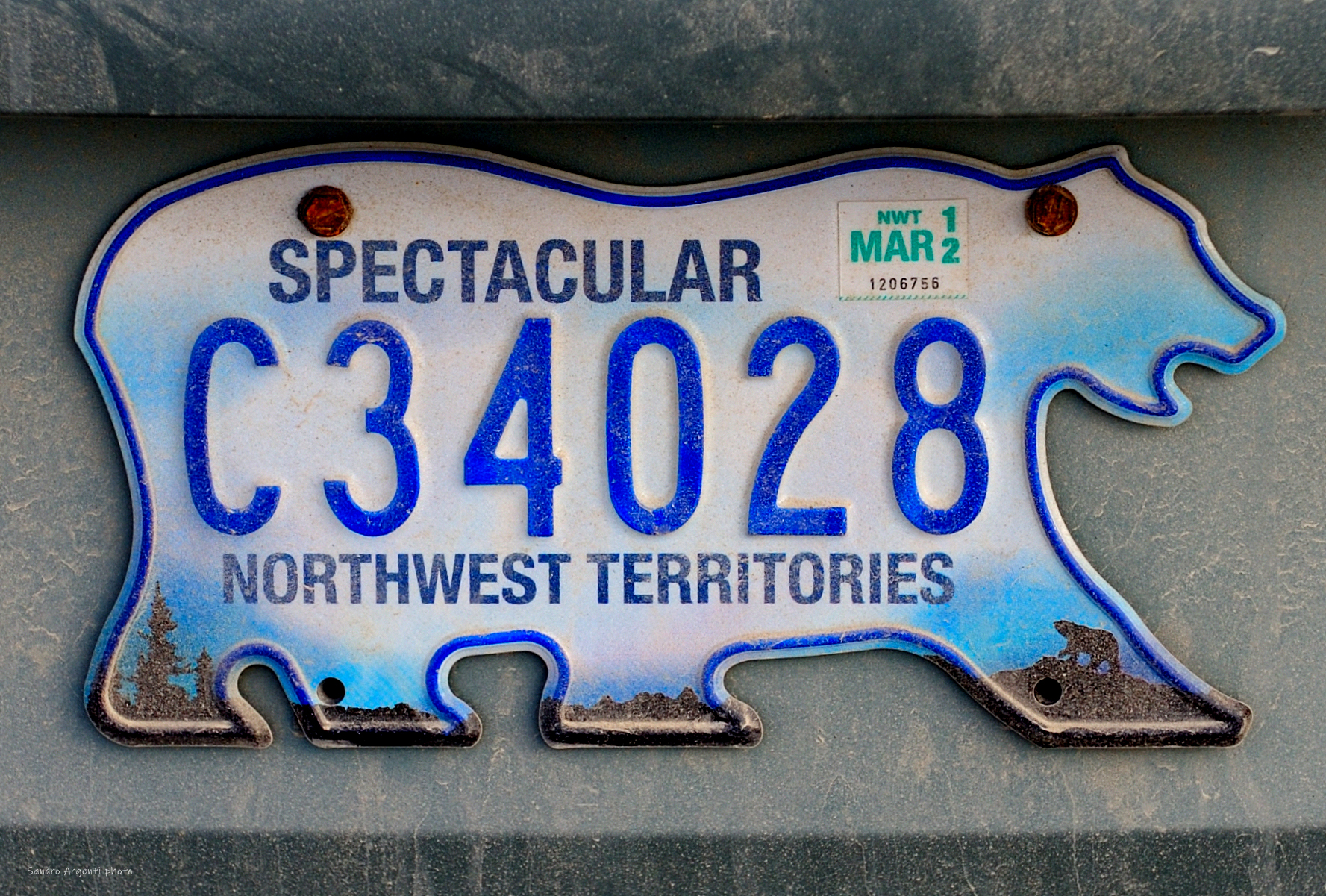 Alla ricerca di particolari