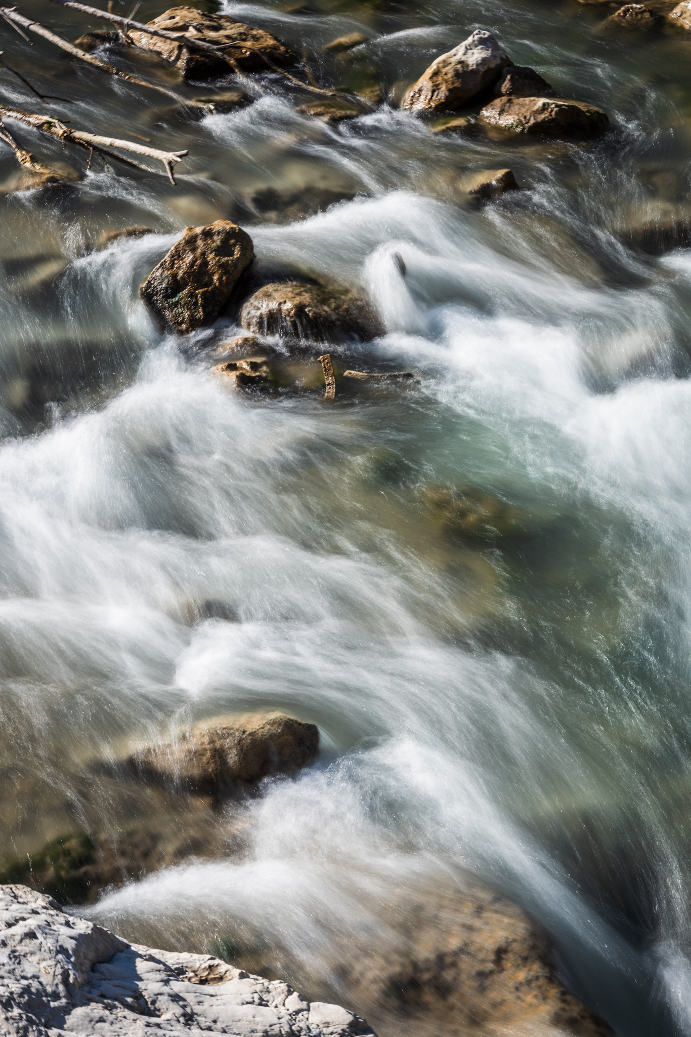 Untitled Photo