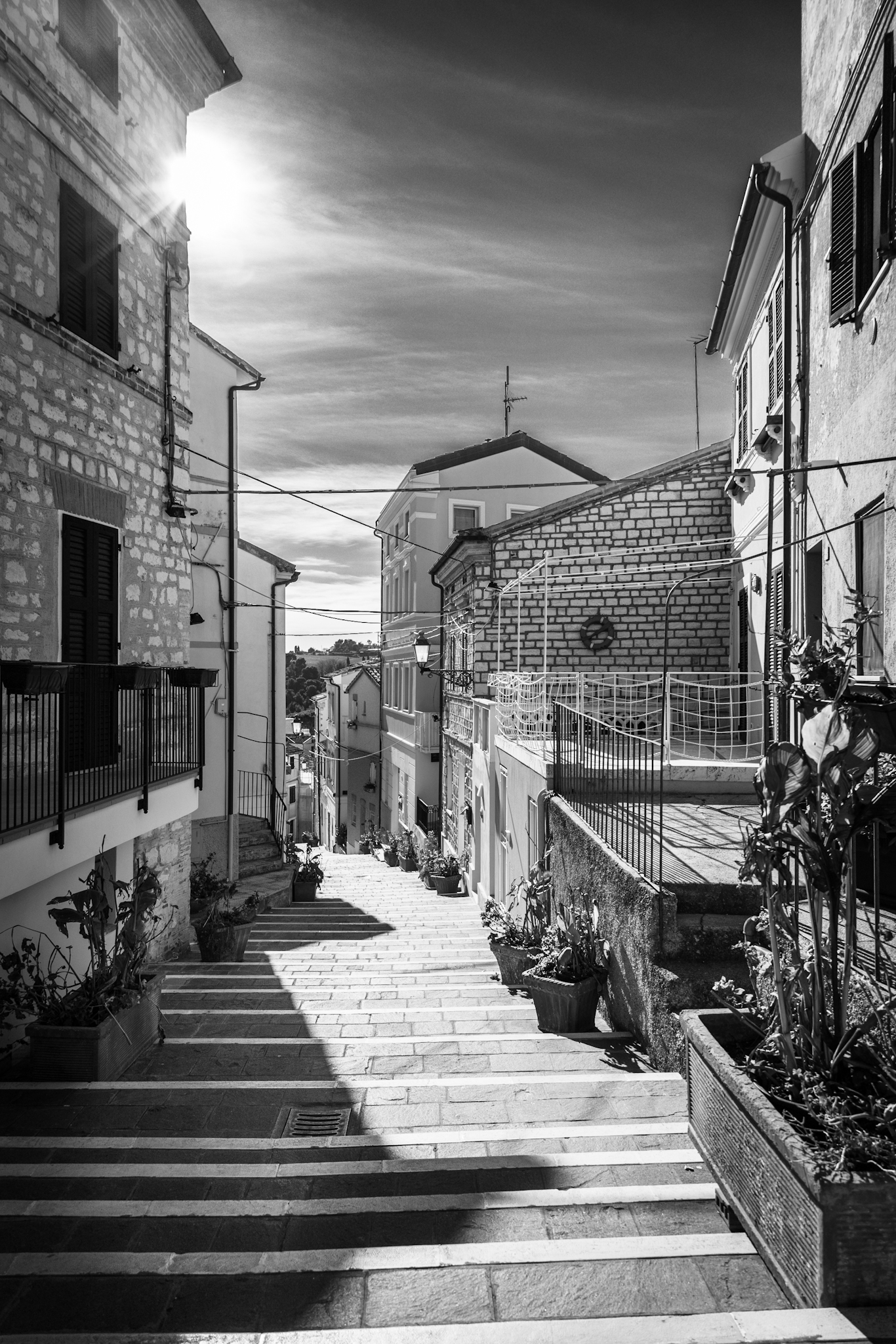 Untitled Photo