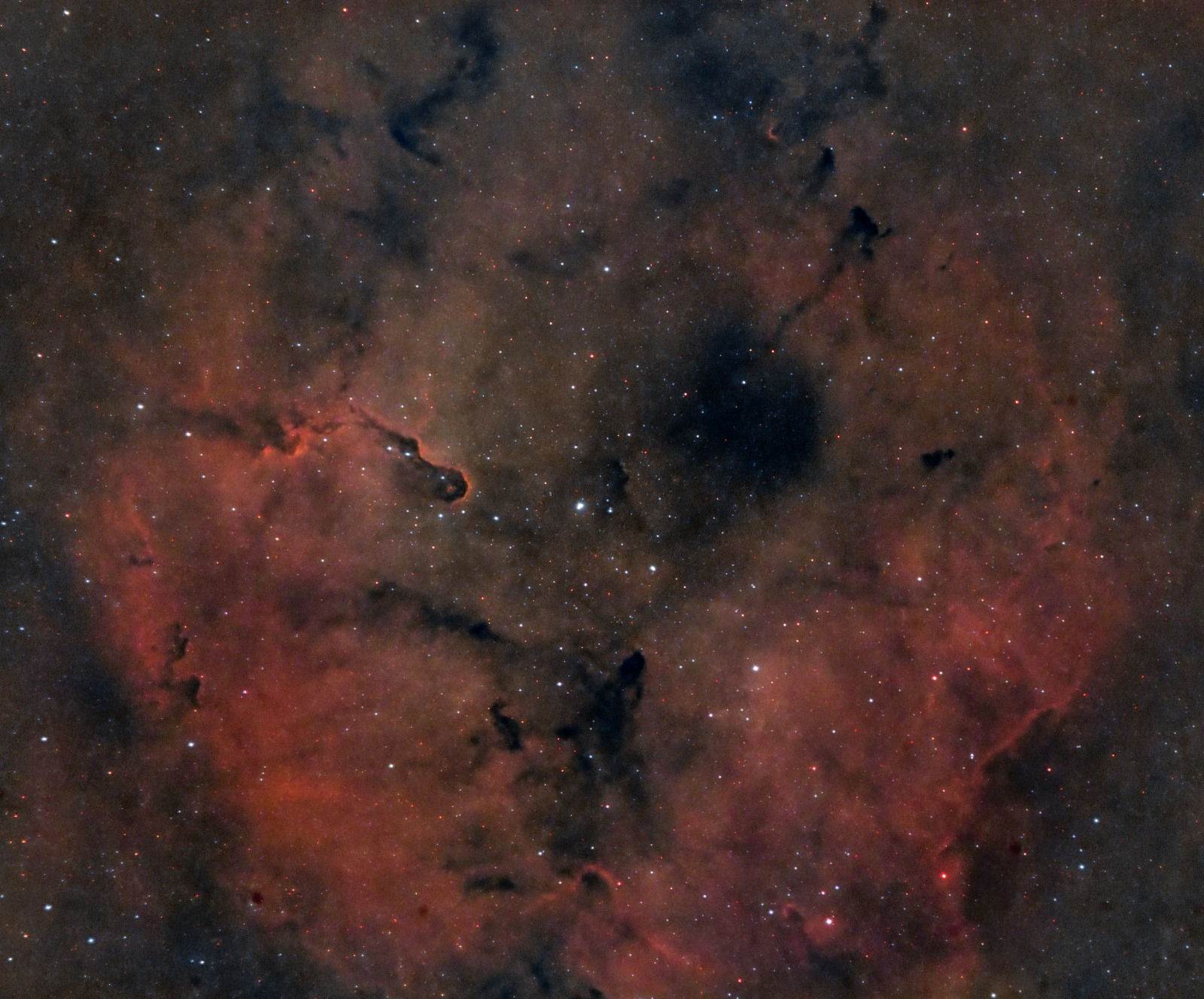 Trunk nebula