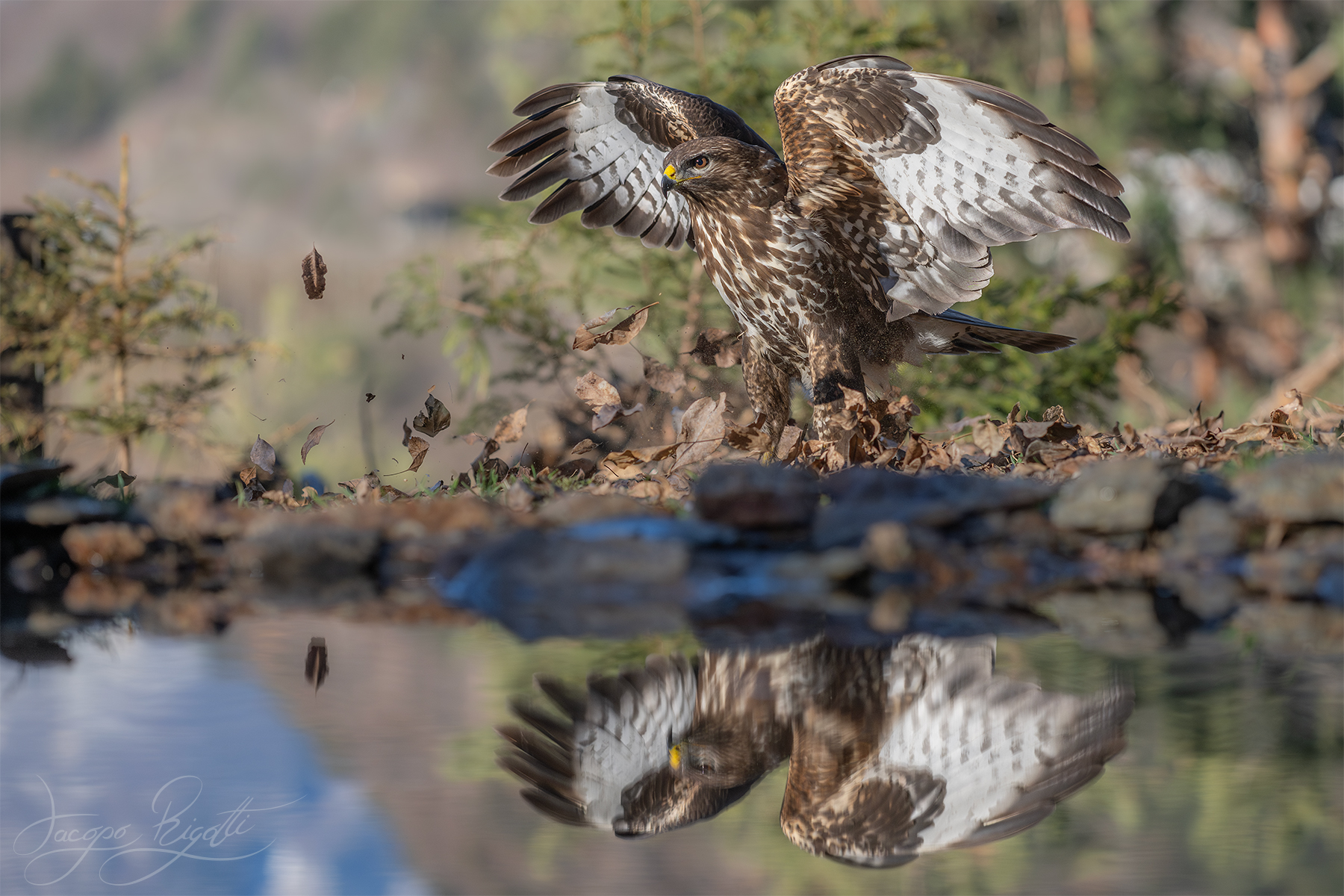Soft Landing