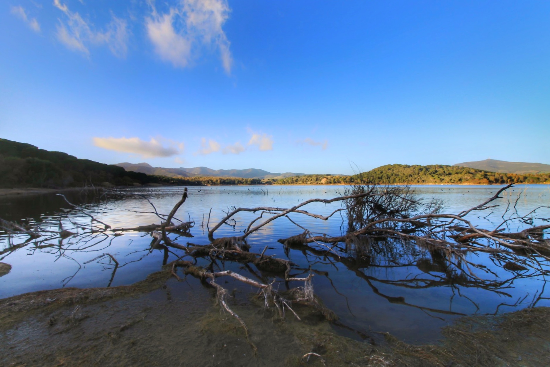 Between legend and reality