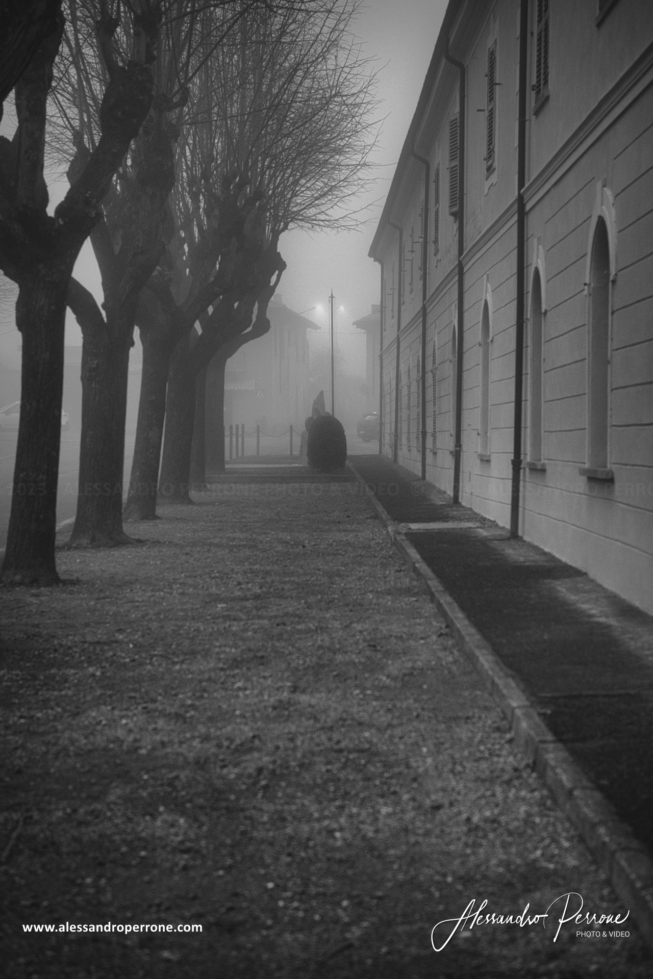 Viale nella nebbia