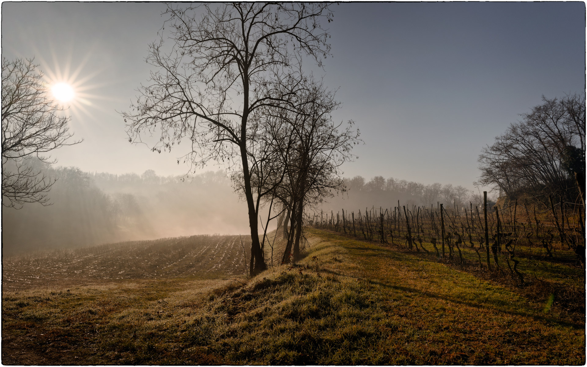 Sulle colline mantovane