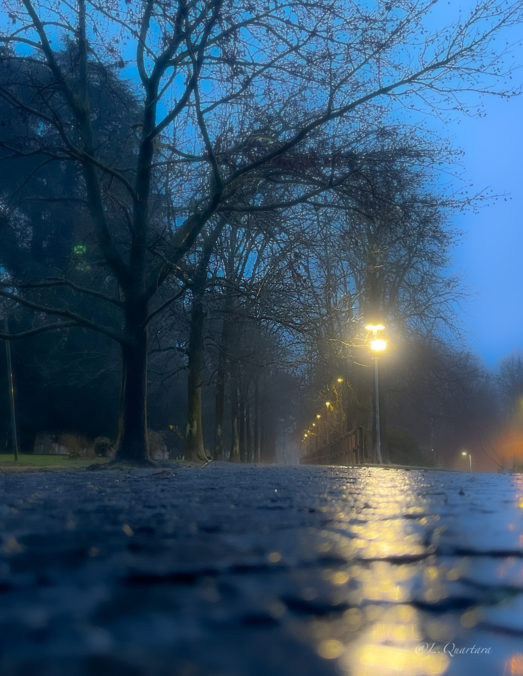 Allea San Luca in the rain