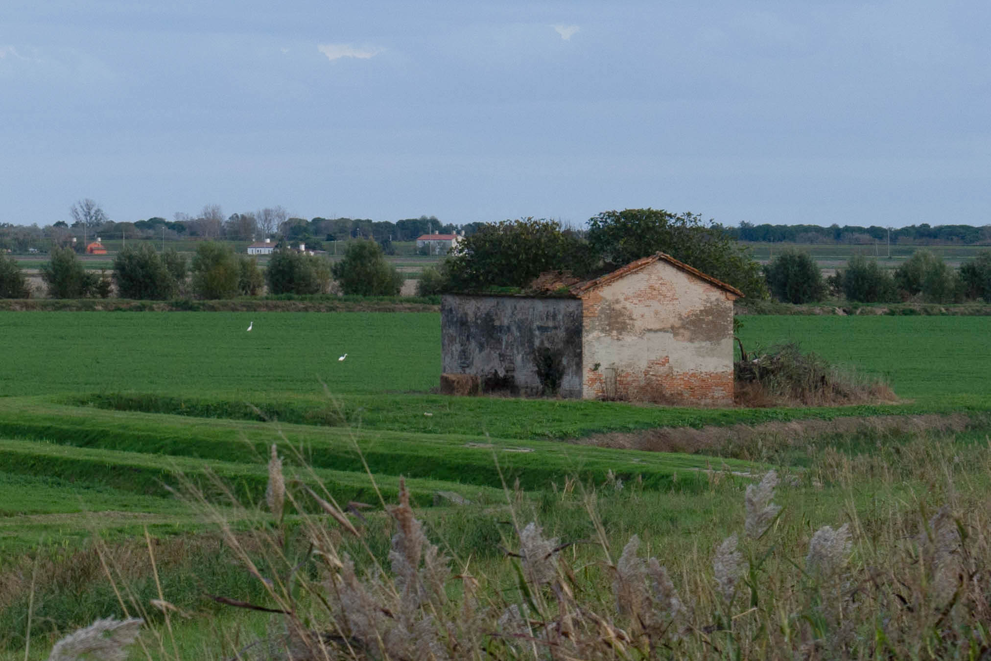 Abandonment - Sacca degli Scardovari