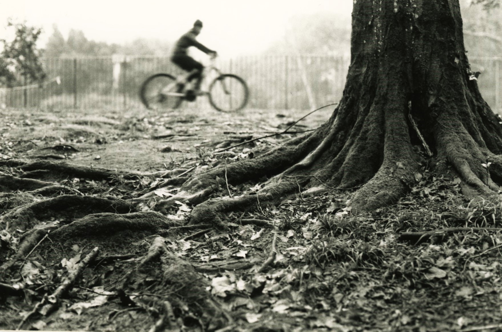 Untitled Photo