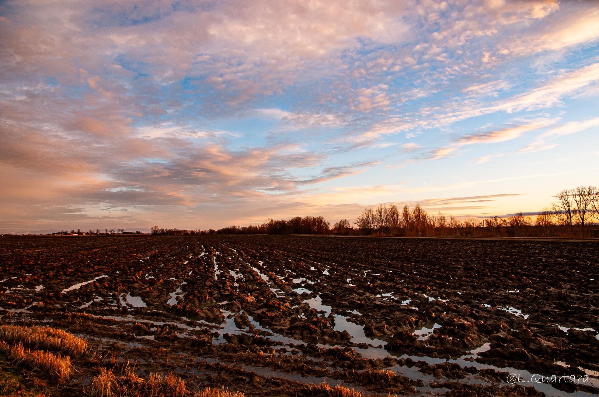 Preparation of the fields