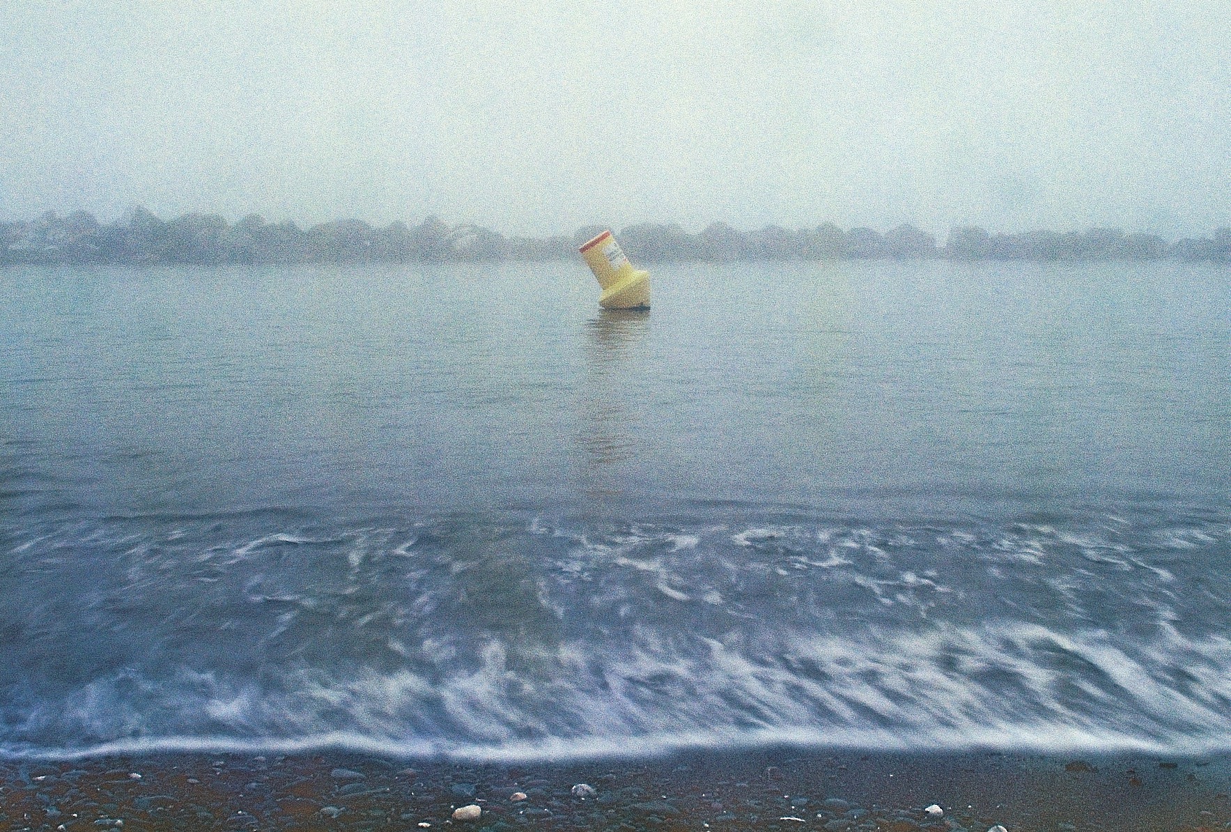 Caligo, solitudine e una boa