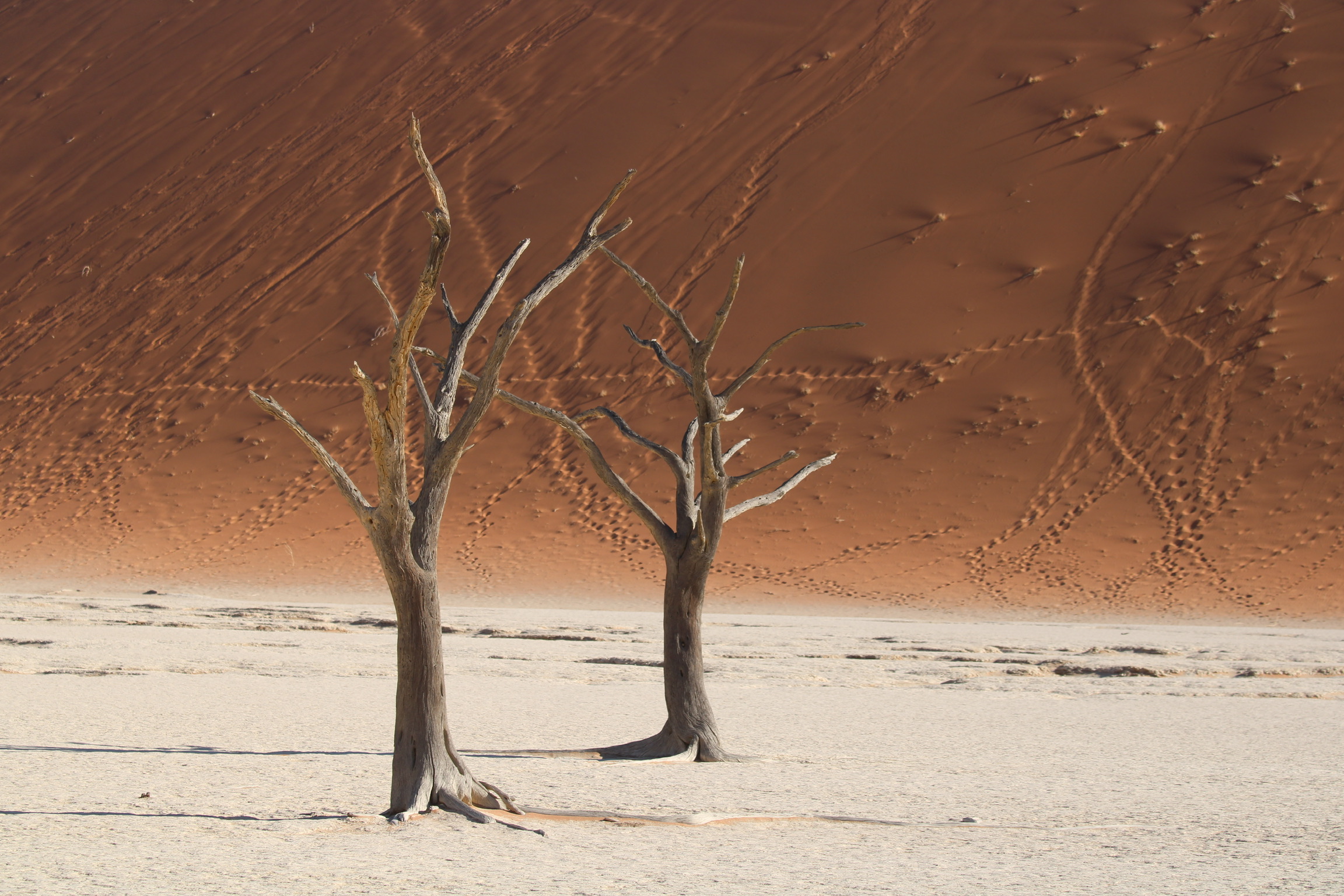 Un'altra faccia di Deadvlei