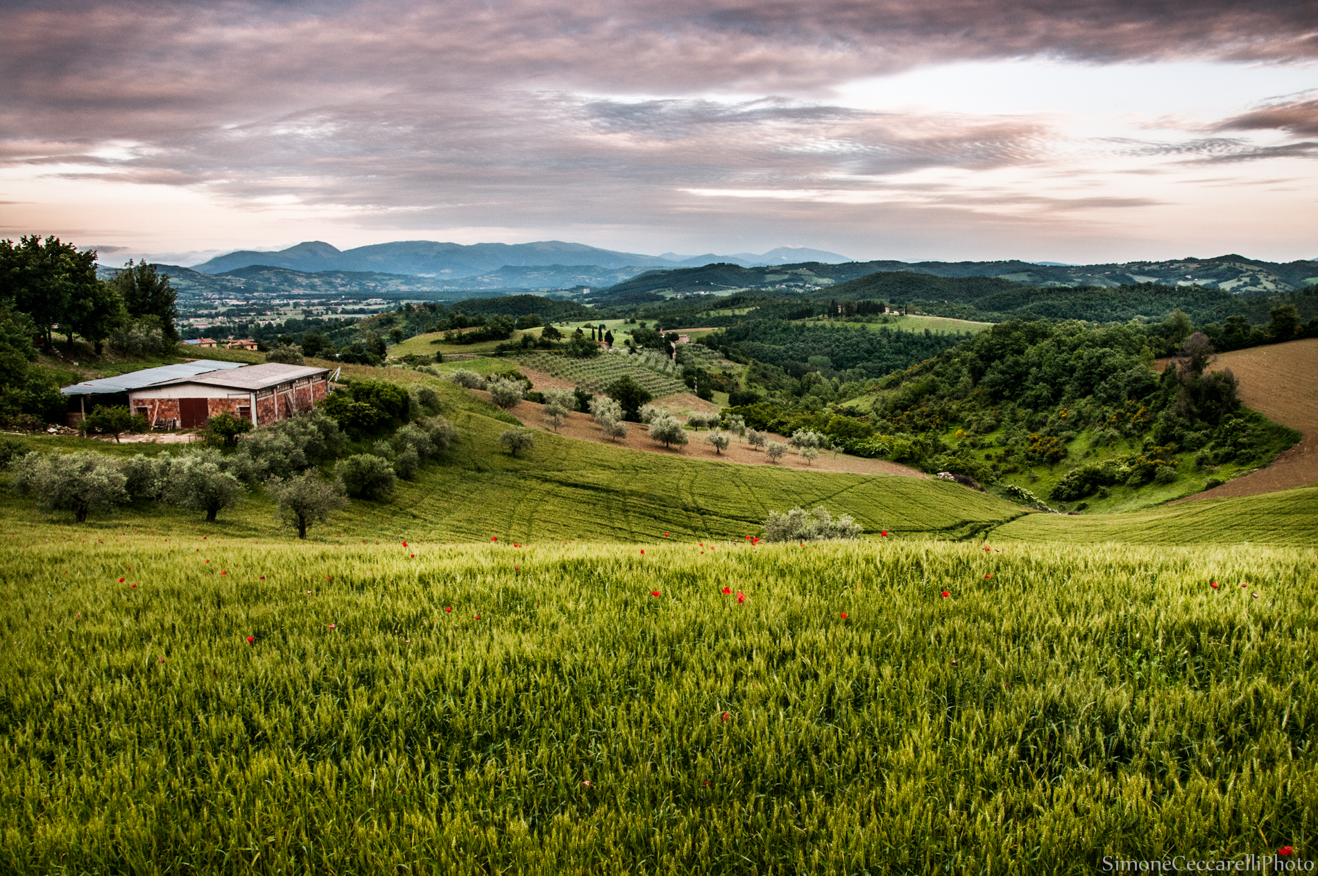Umbria landscape