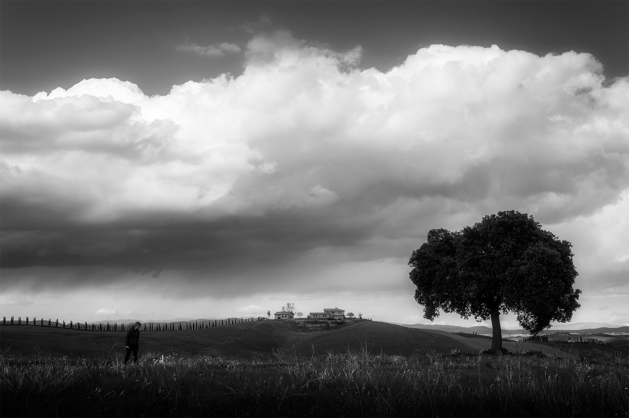 white street photography 2